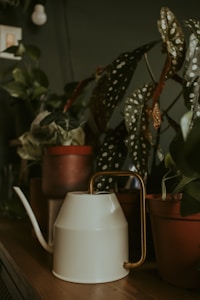 Classic Watering Can