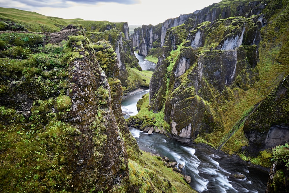 a river flowing through a lush green valley