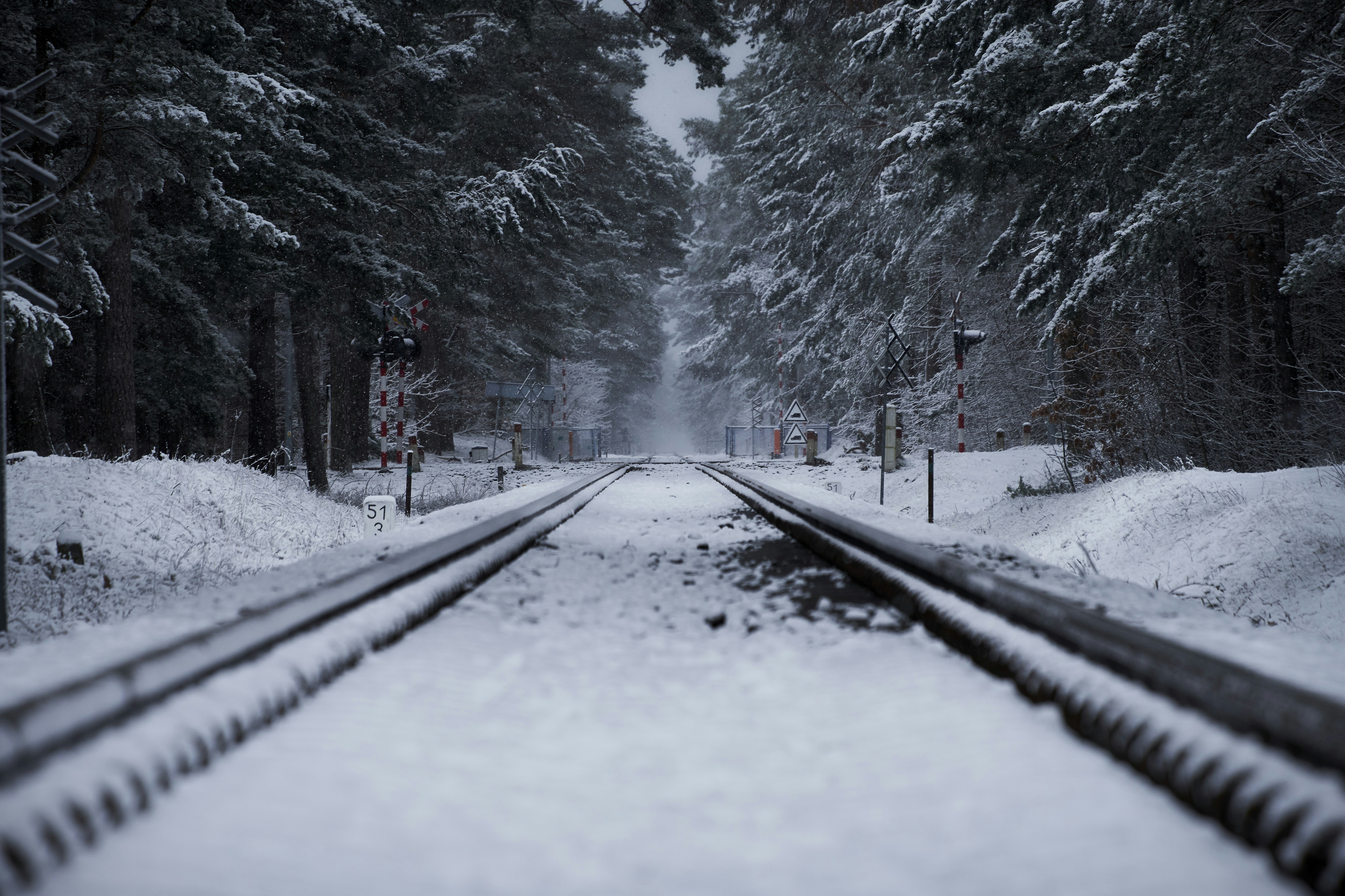 Photo by victor_vector