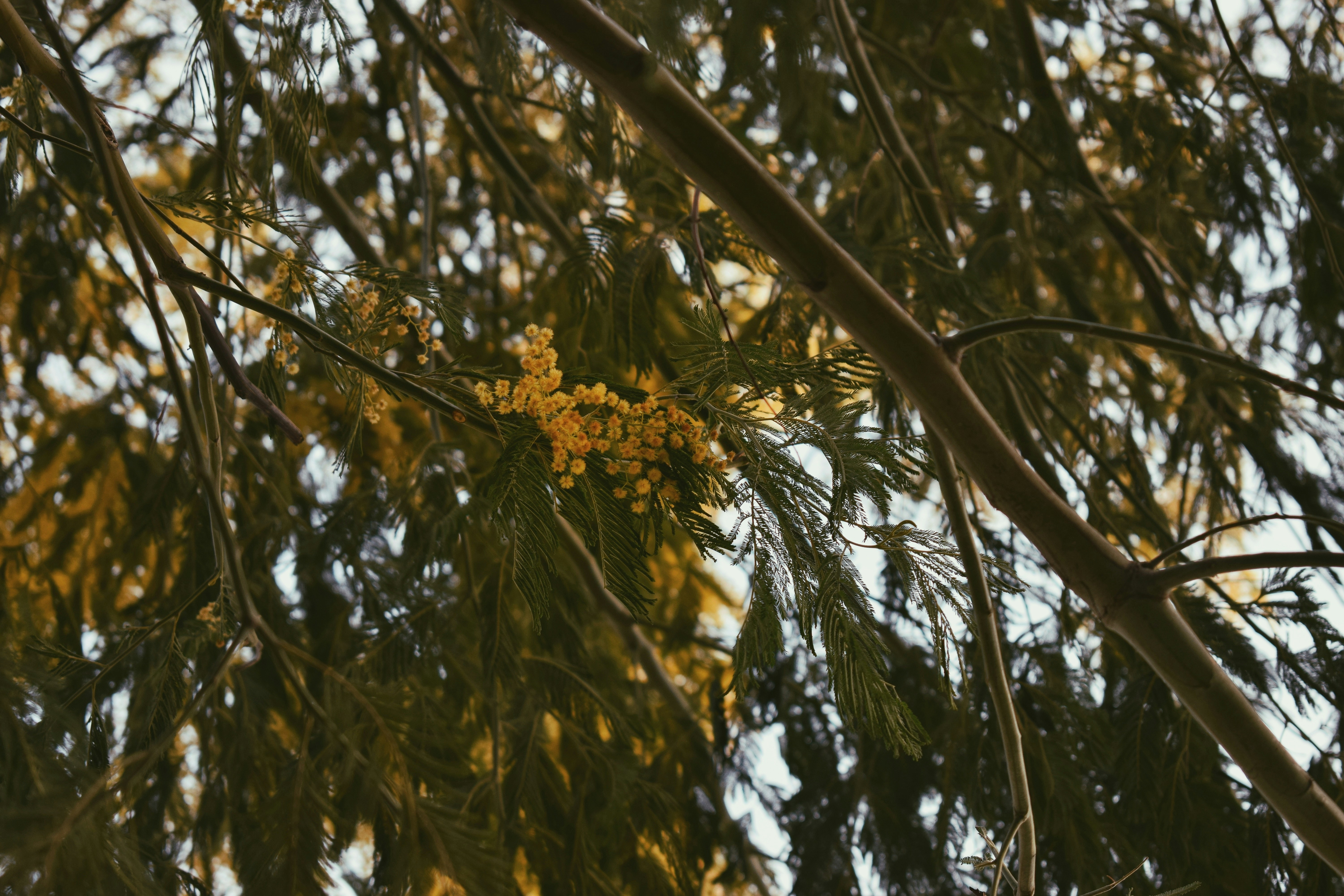 Photo by xhiliana7