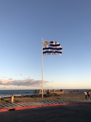 a flag is flying on a pole near the ocean