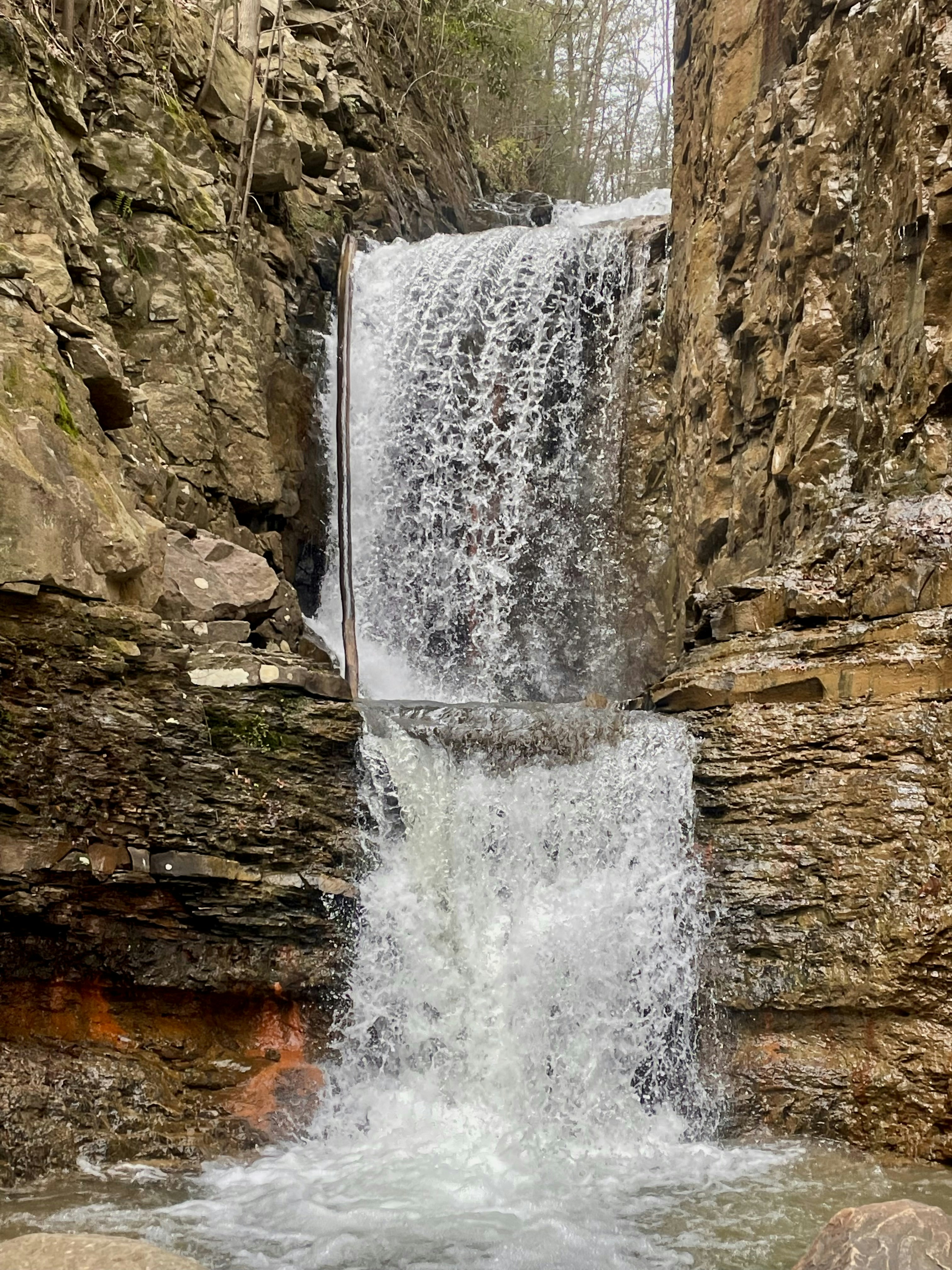 Photo by brice_cooper18