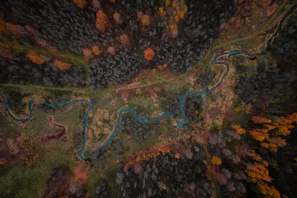 an aerial view of a river running through a forest