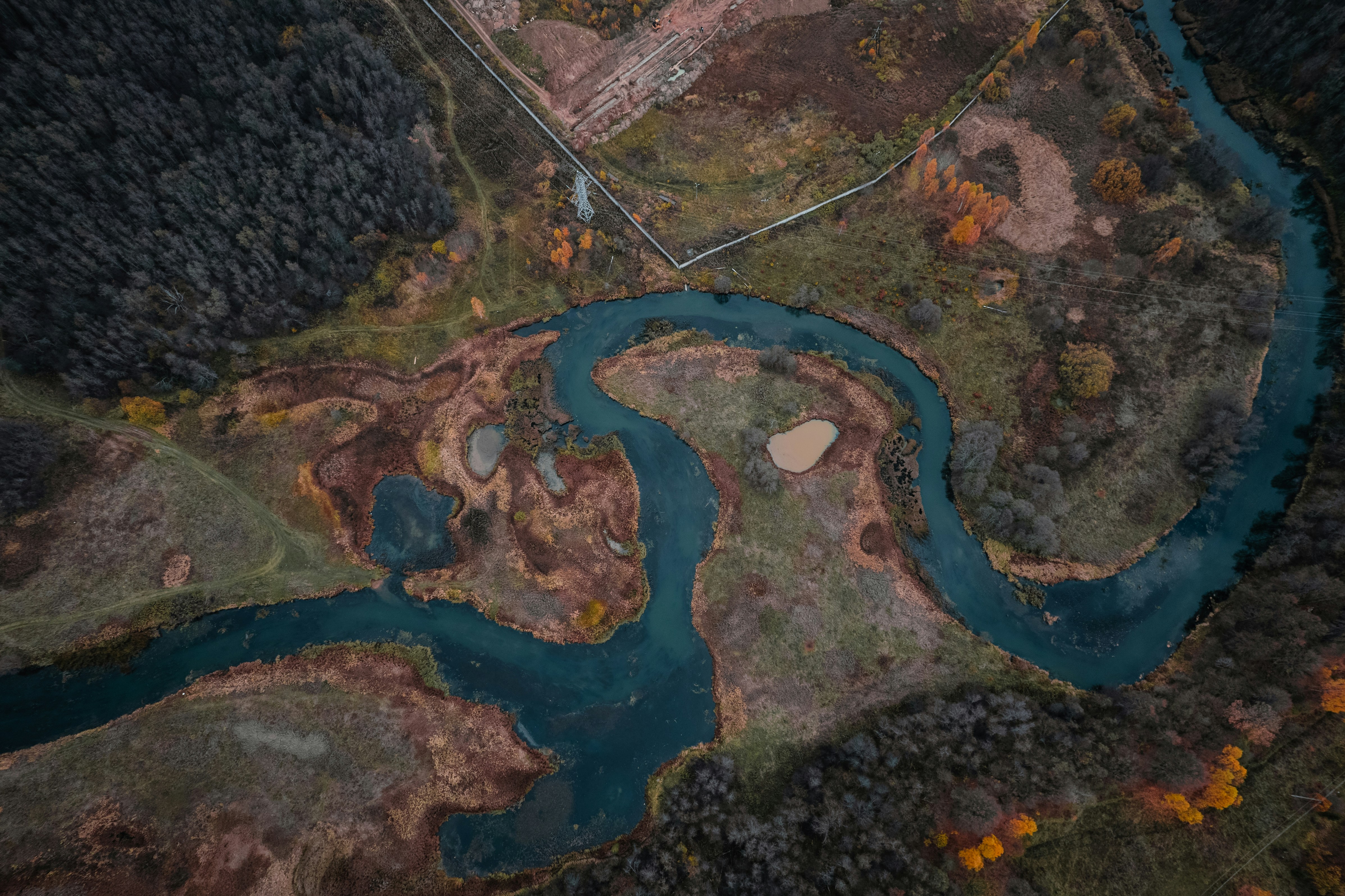a river running through a lush green forest