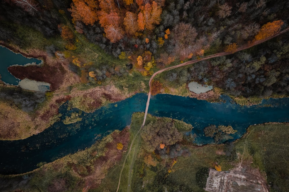 an aerial view of a river surrounded by trees