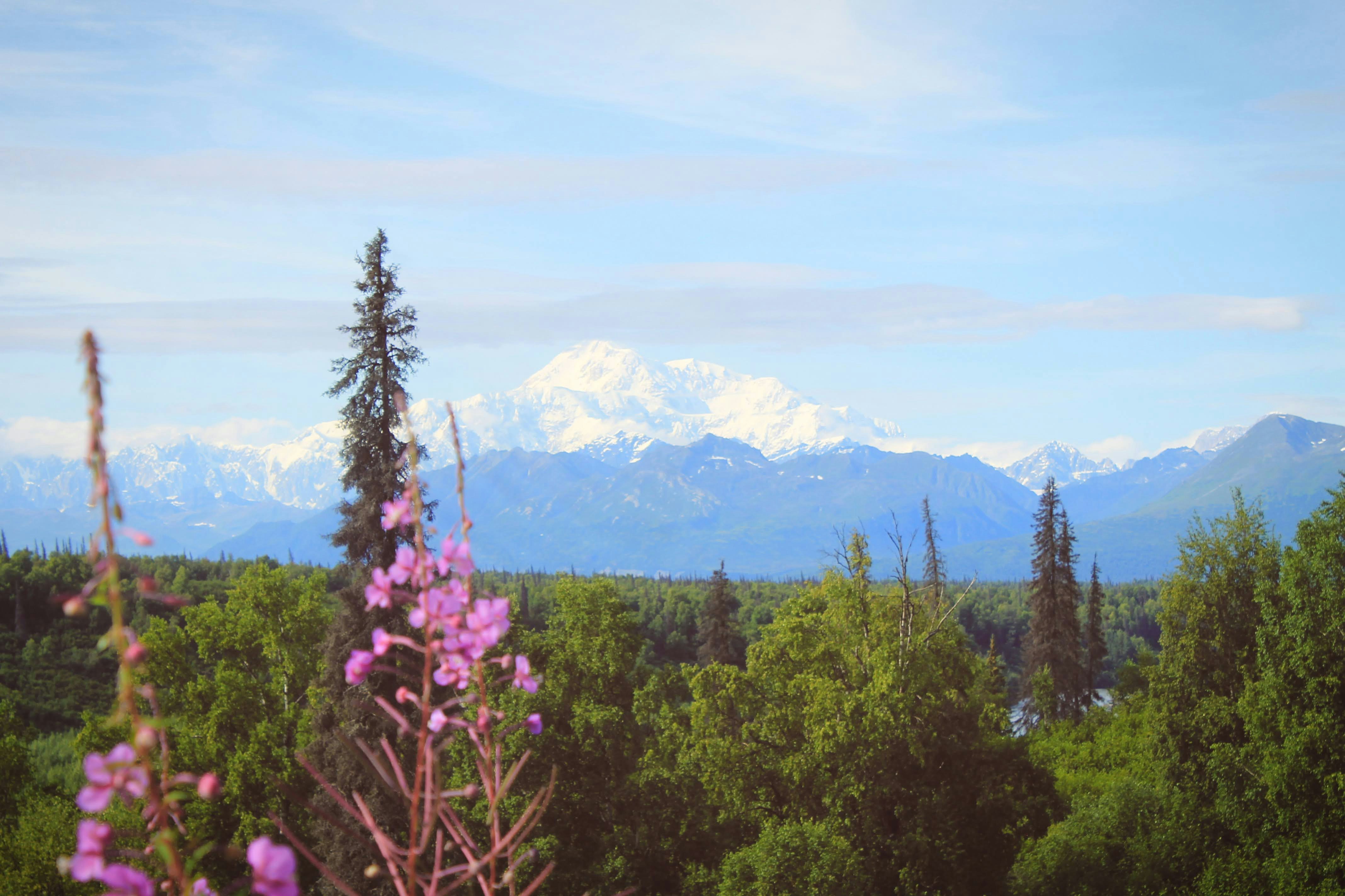 a view of a mountain range from a distance, 