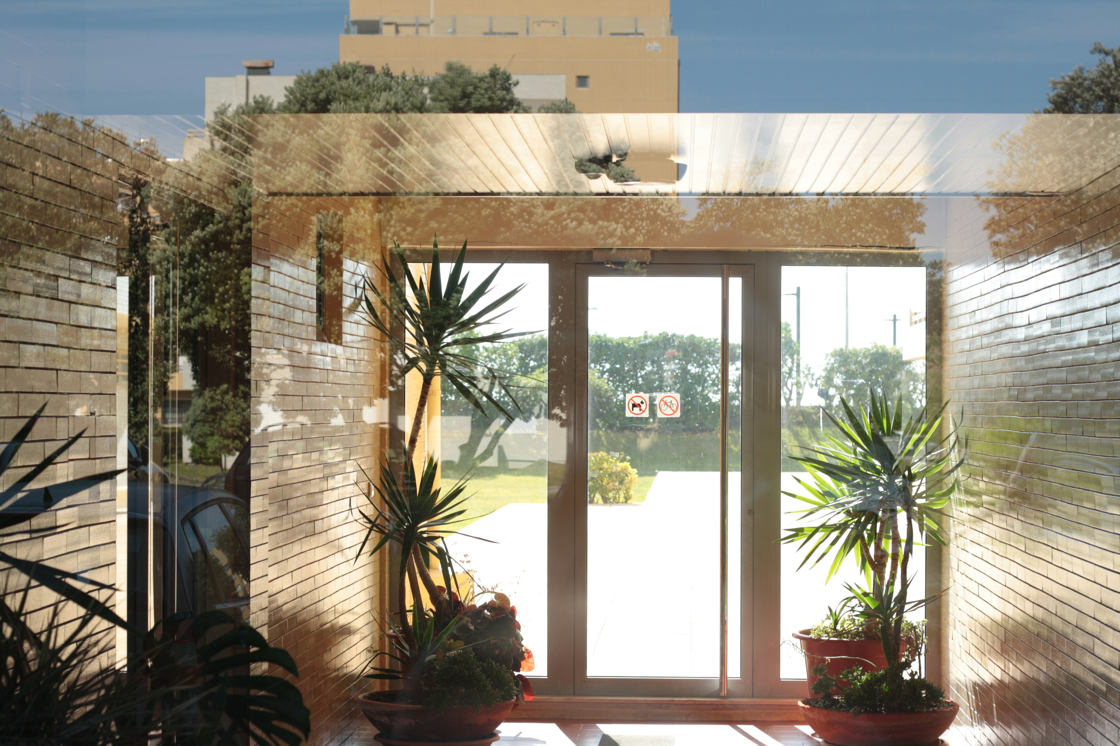 Photo by canon1000denthusiast