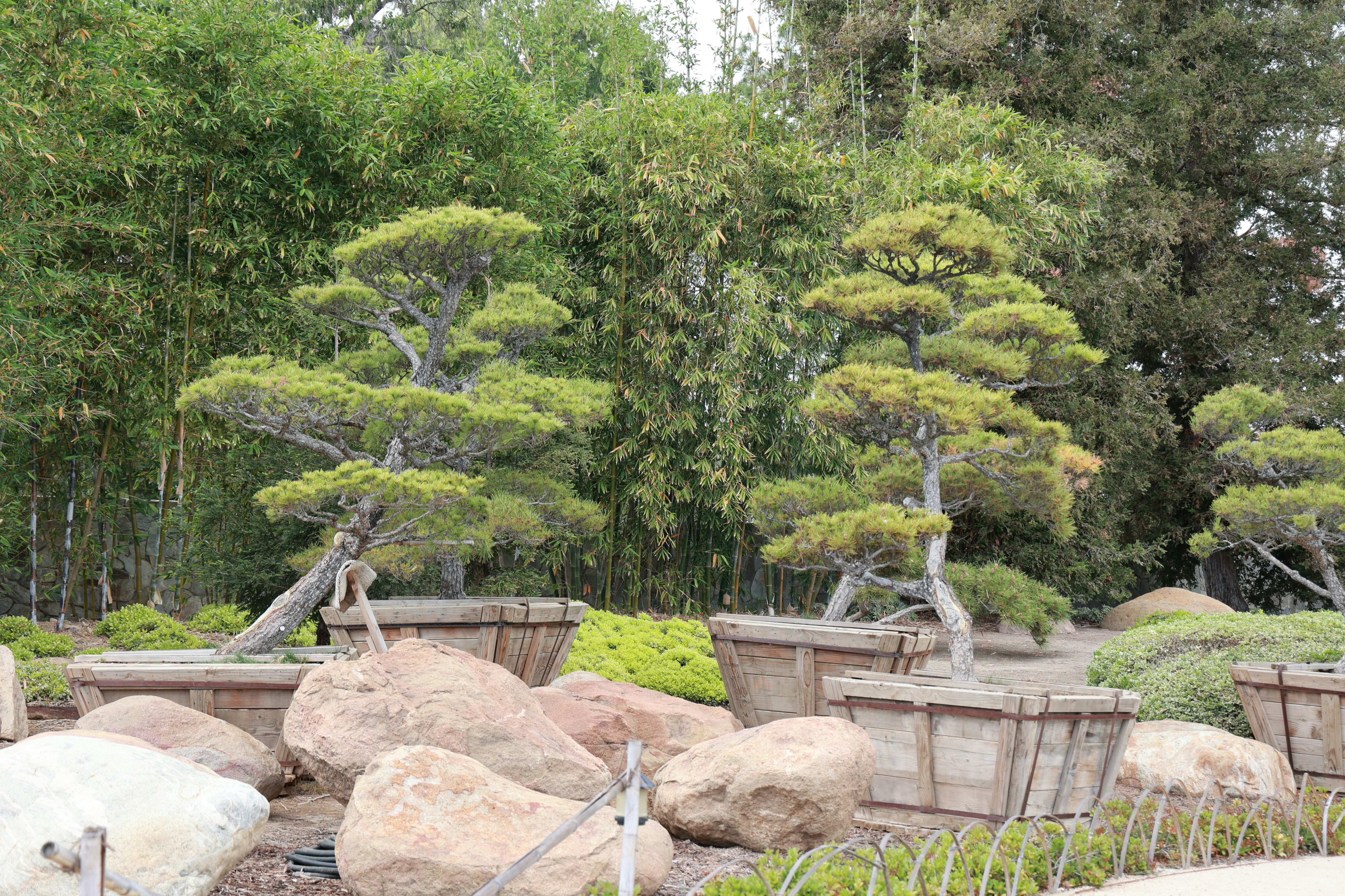 Photo by paola_canasvaladez