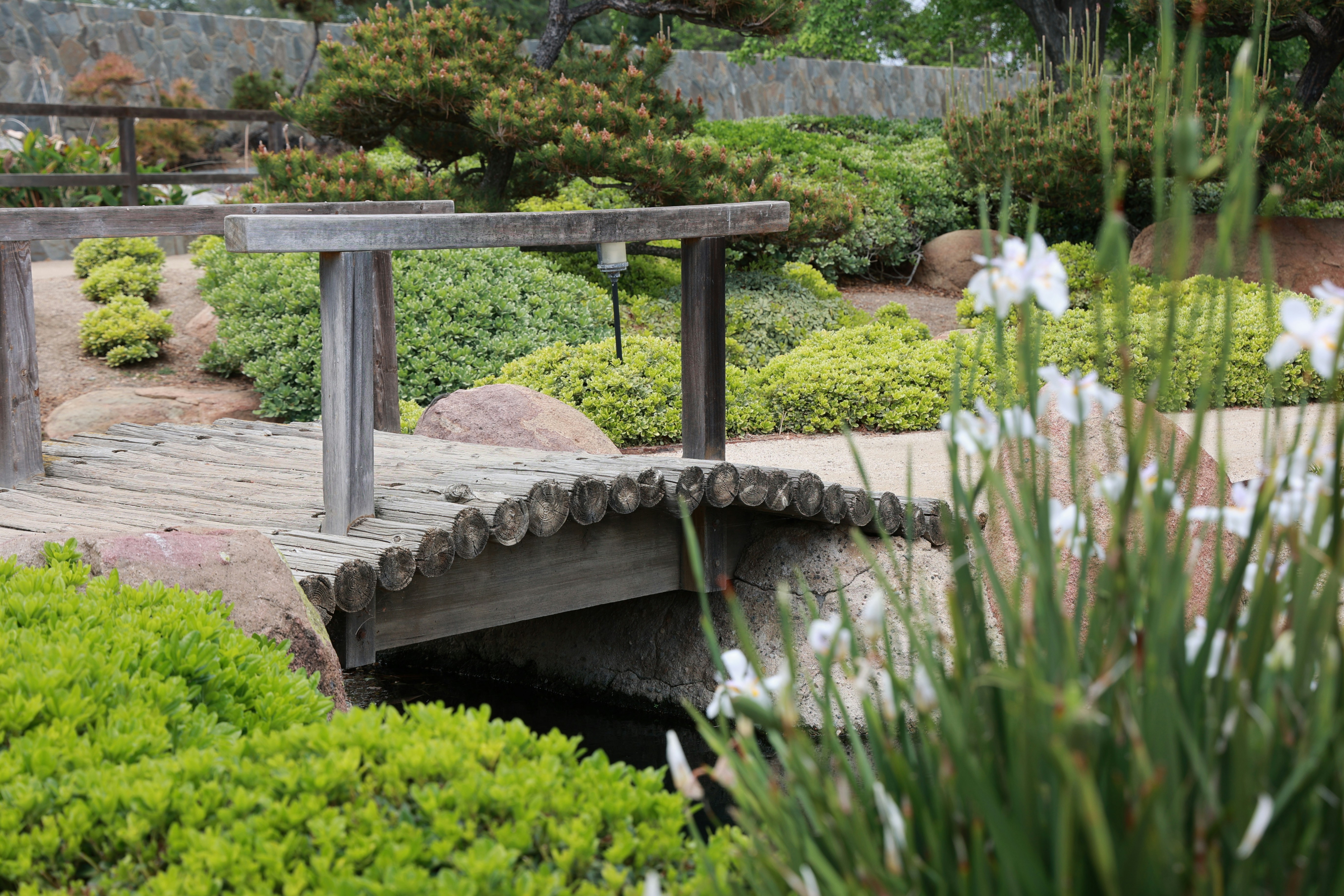 Photo by paola_canasvaladez