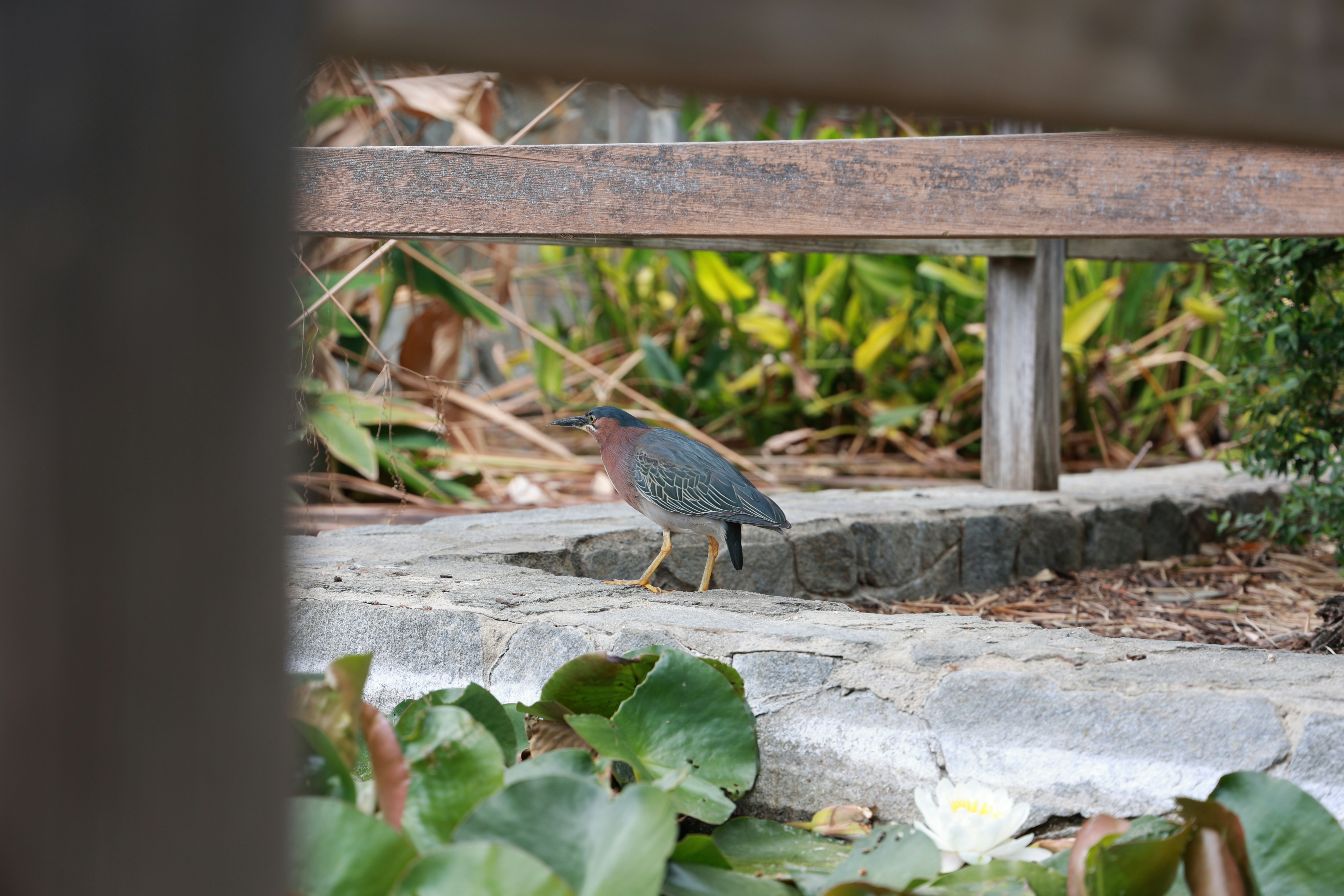 Photo by paola_canasvaladez