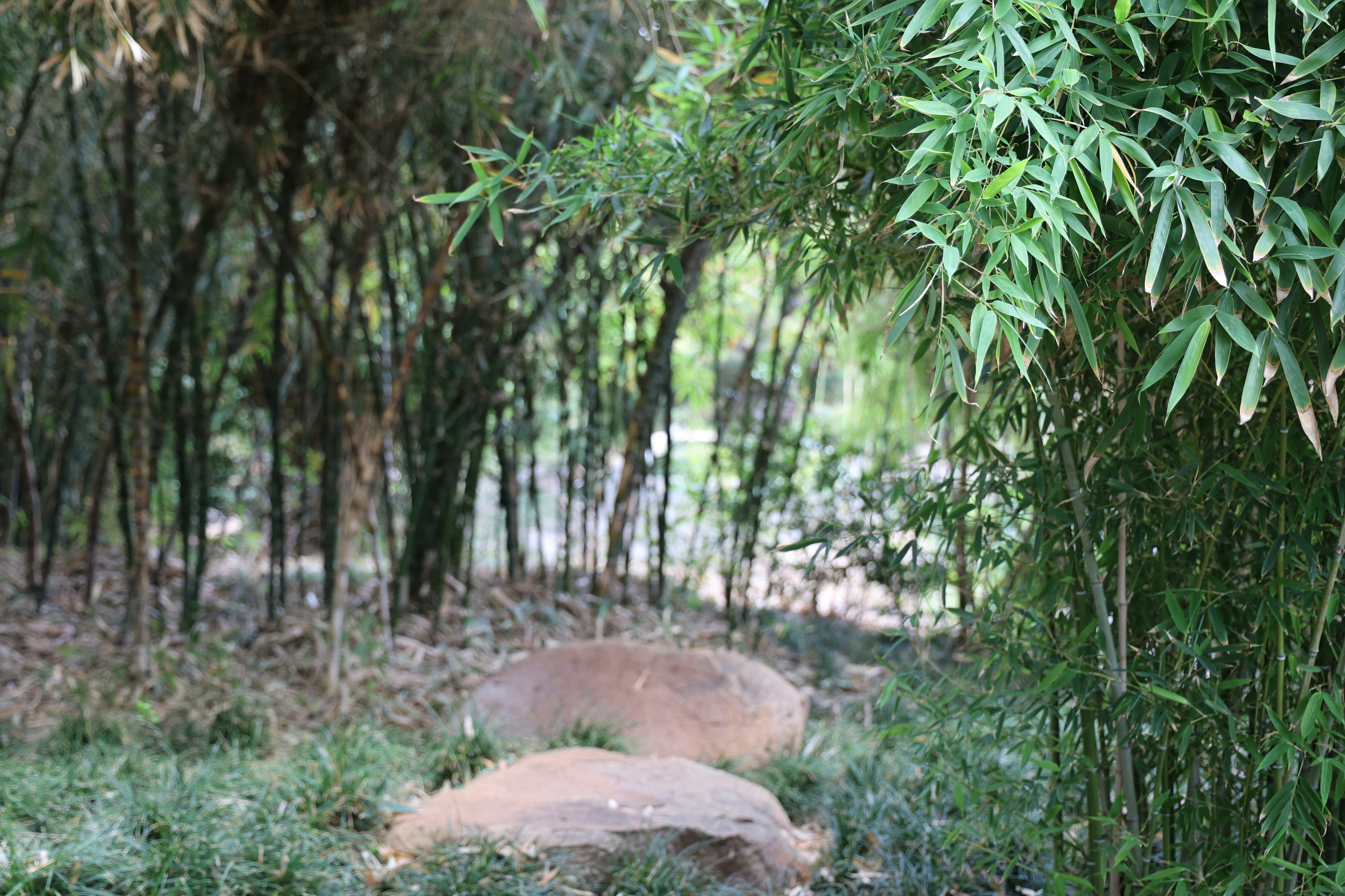 Photo by paola_canasvaladez