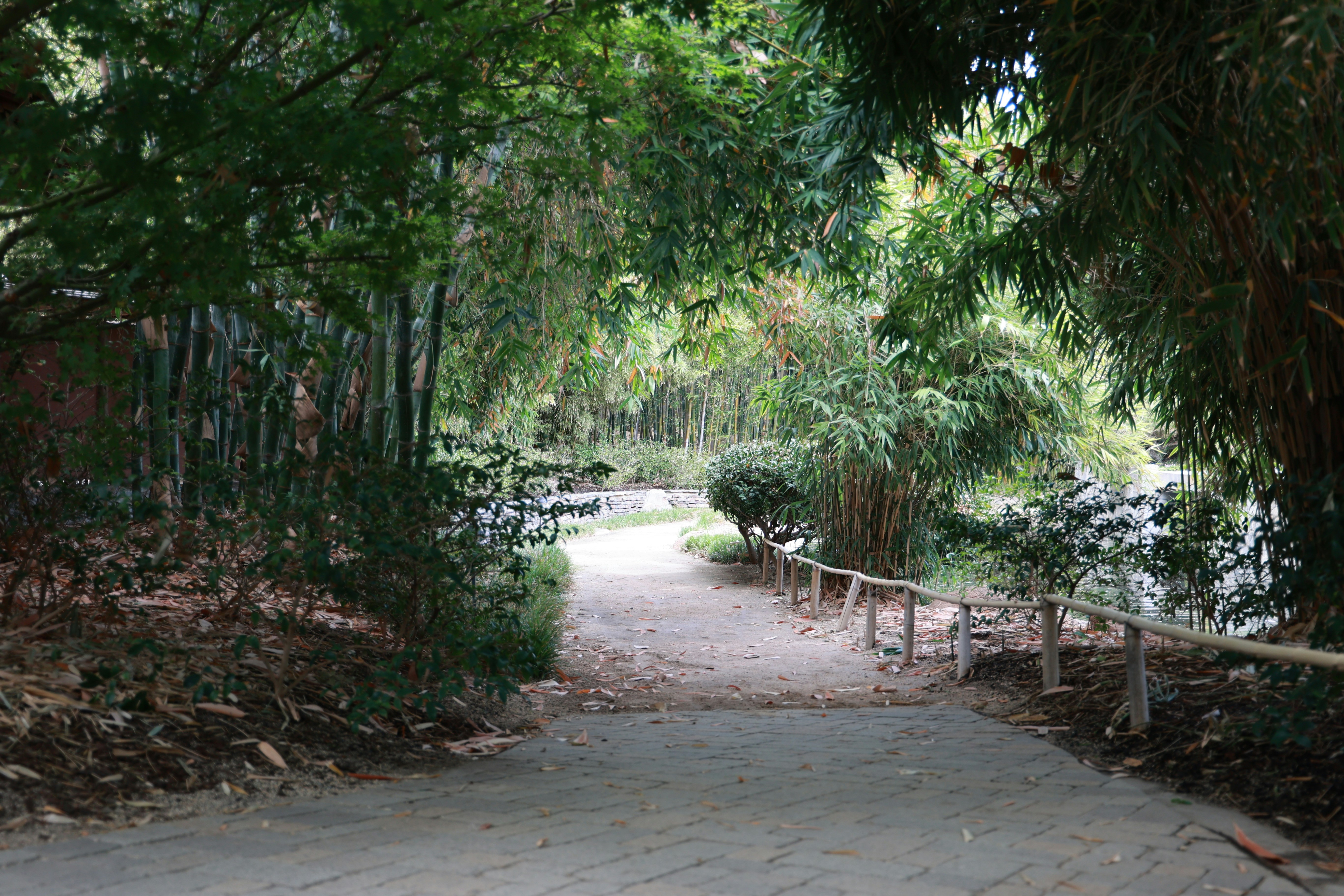 Photo by paola_canasvaladez