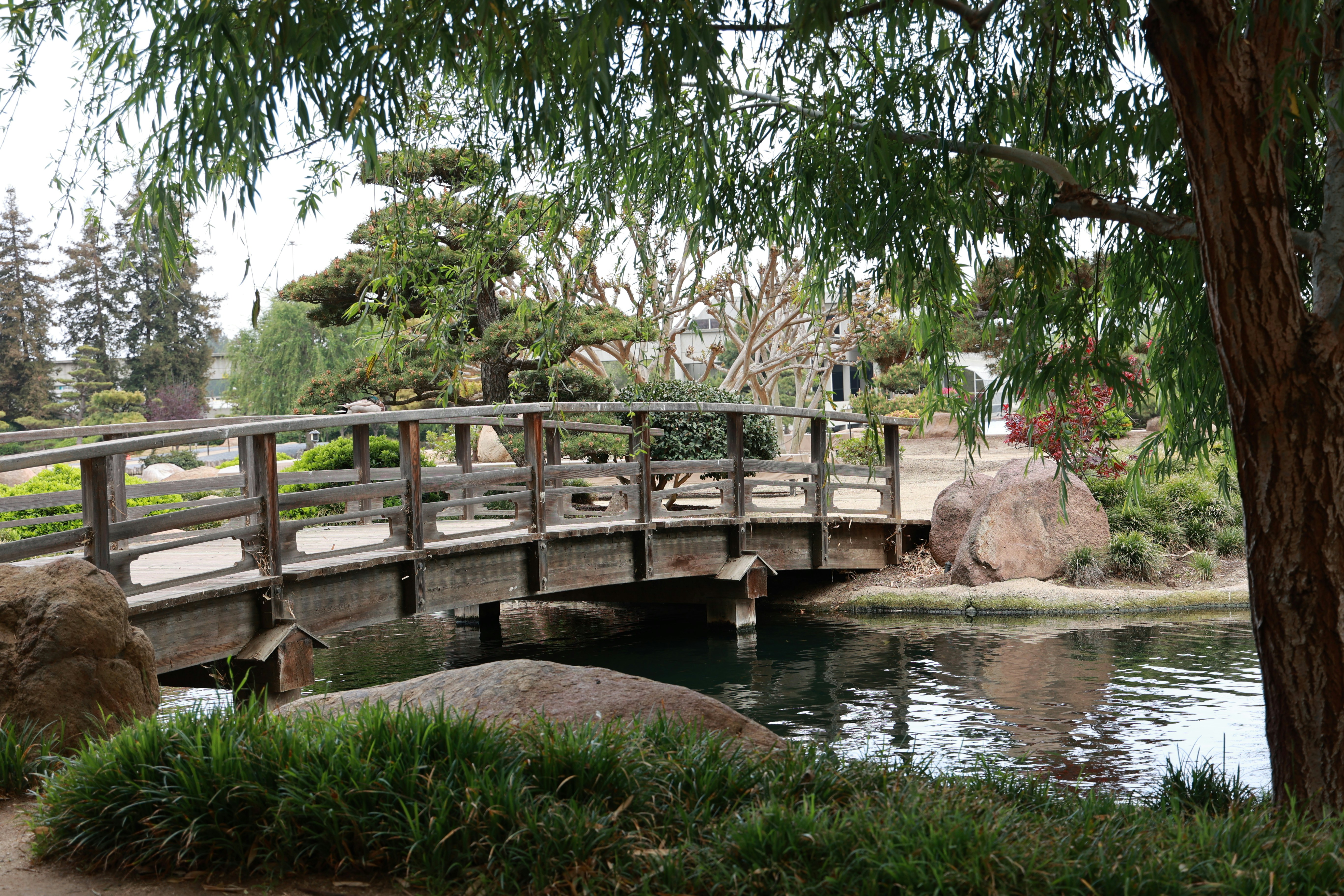 Photo by paola_canasvaladez