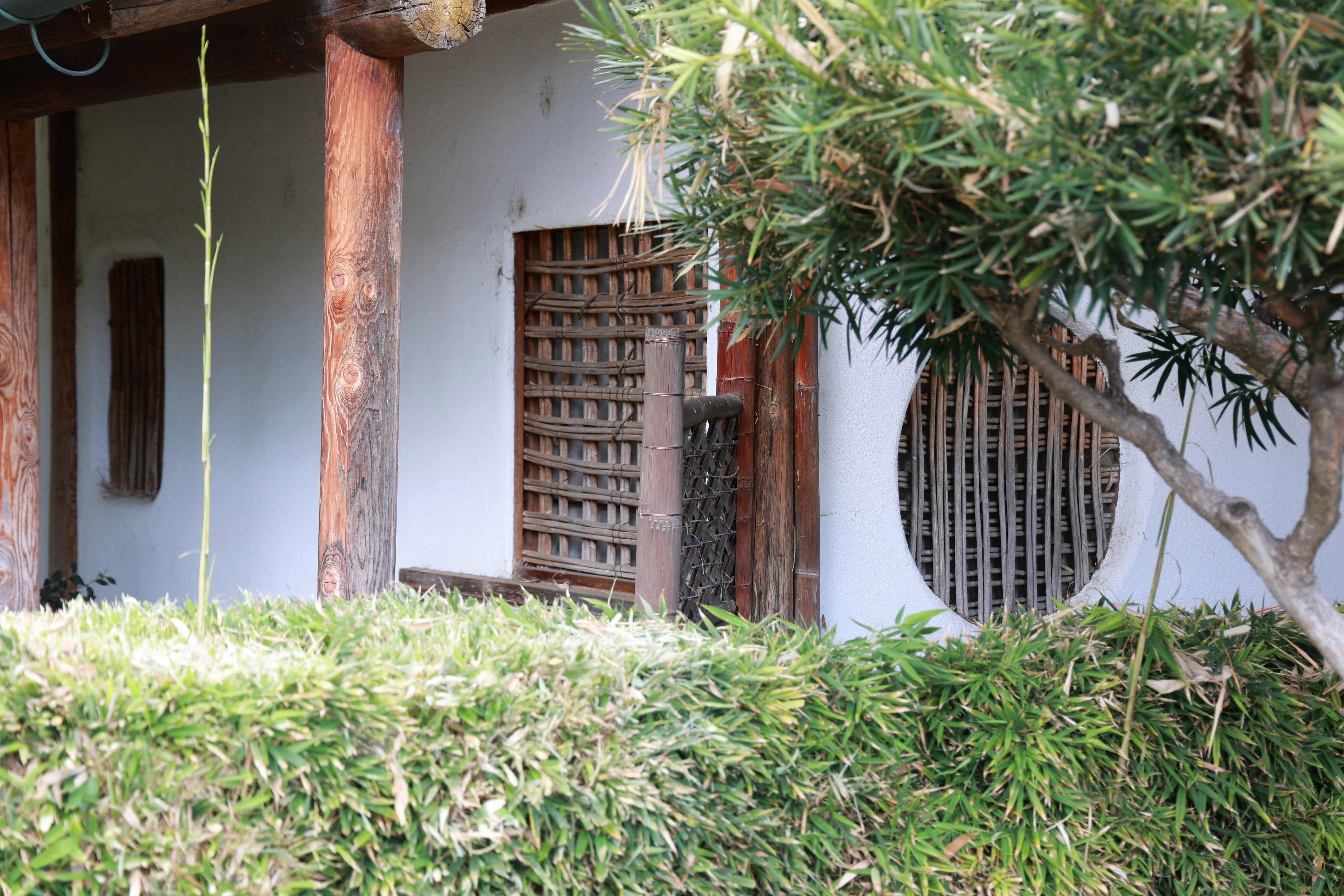 Photo by paola_canasvaladez