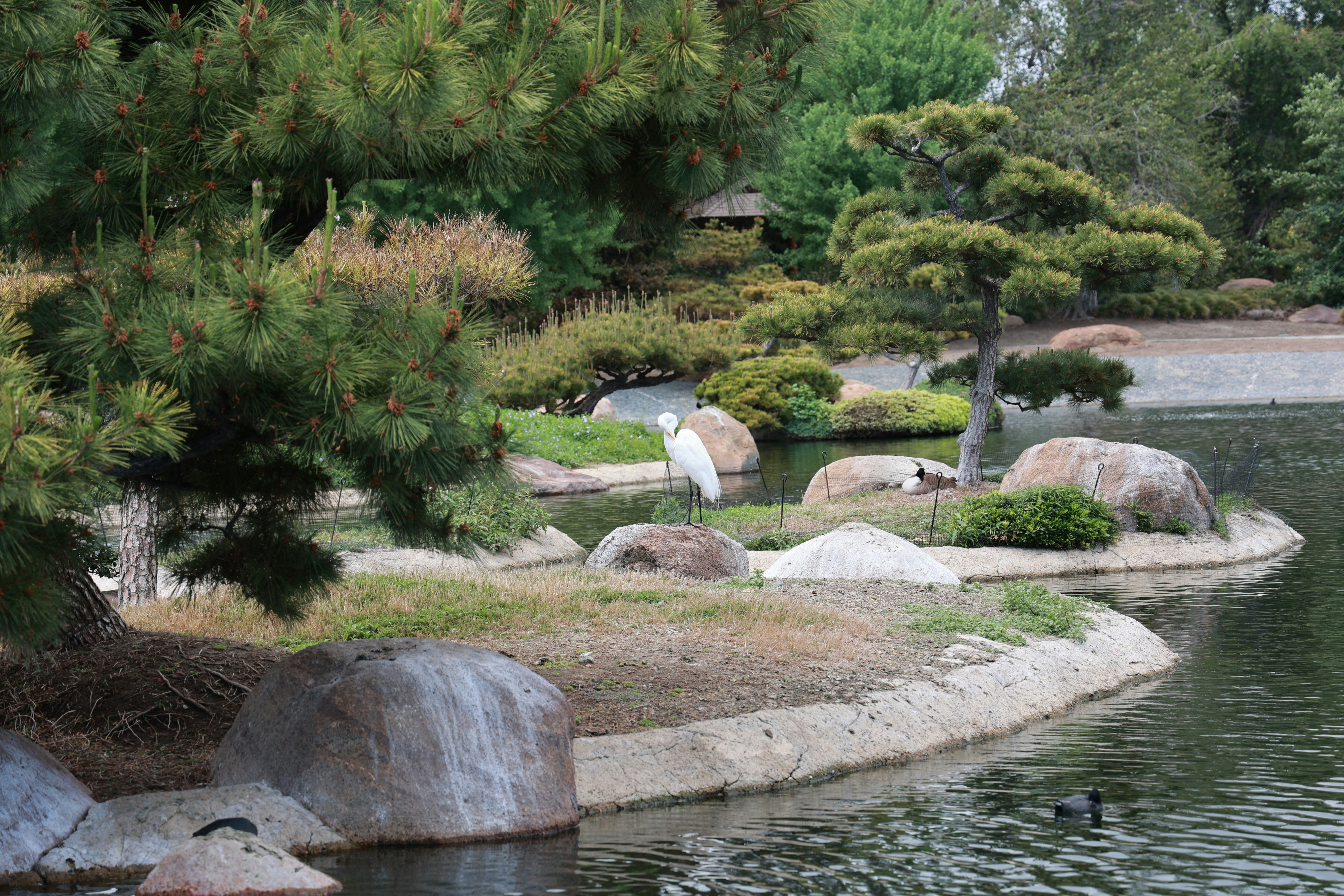 Photo by paola_canasvaladez