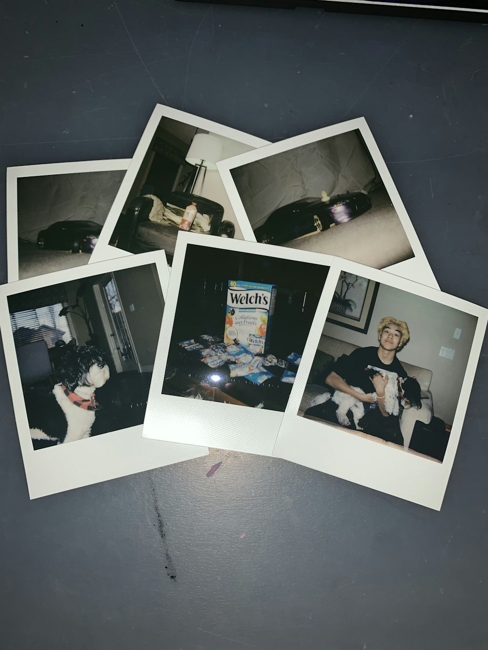 a group of polaroid pictures of a person and a cat