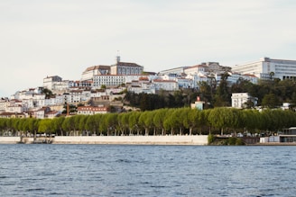 a body of water with a city in the background