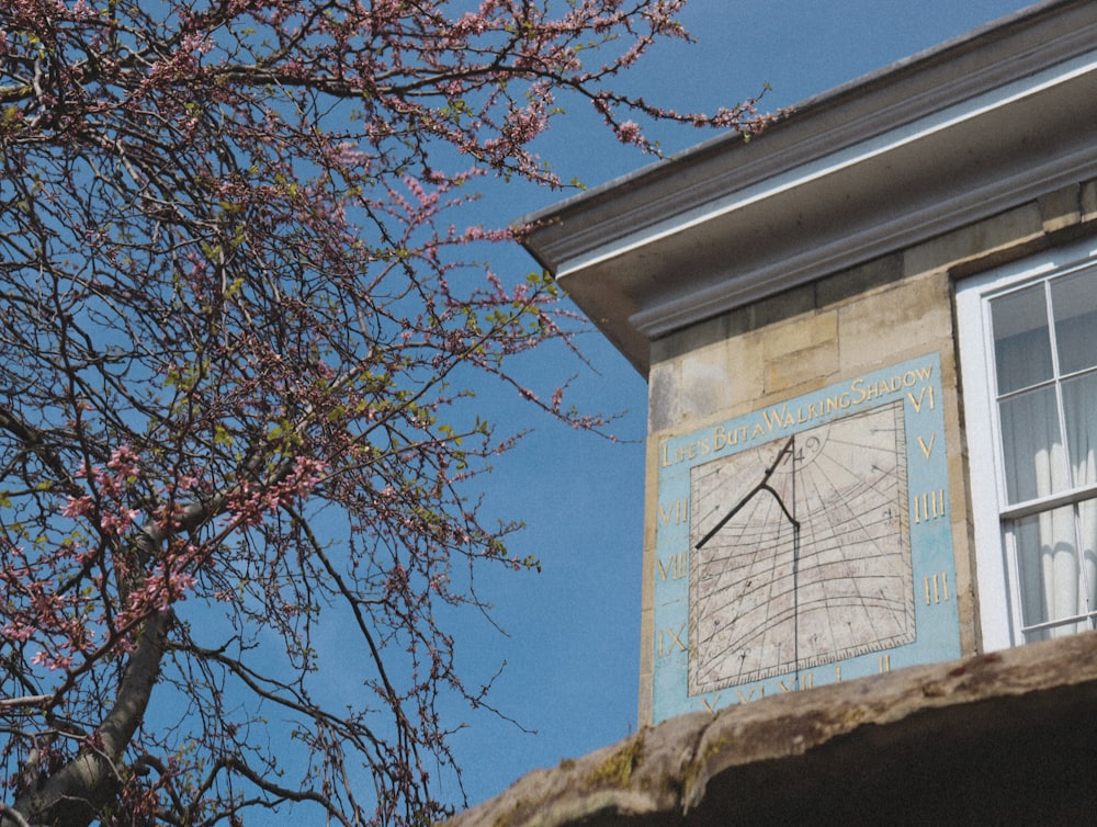 a clock on the side of a building next to a tree