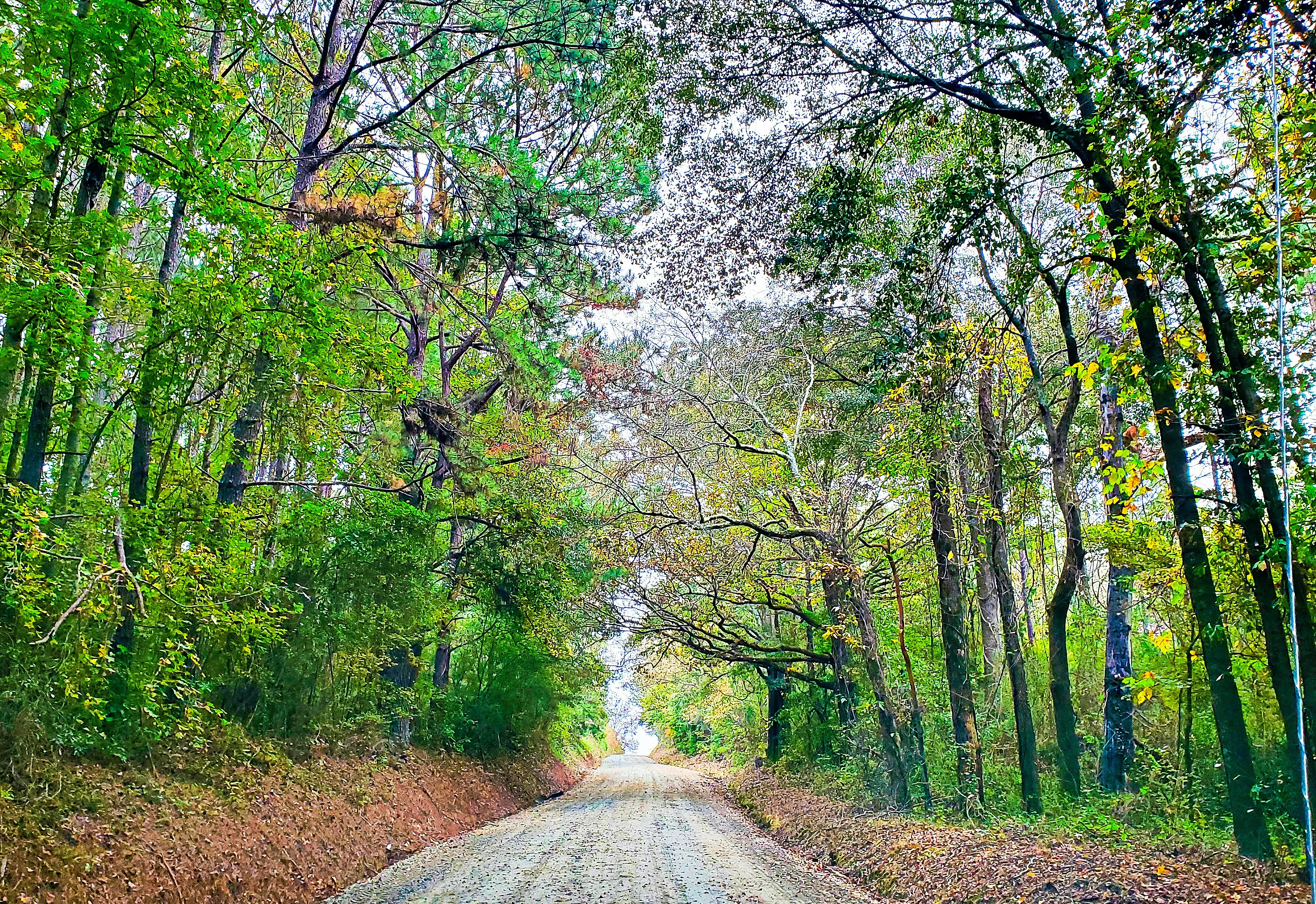 Photo by kevinadunlap