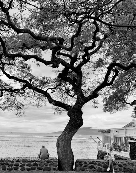 a black and white photo of a man sitting on a bench next to a tree
