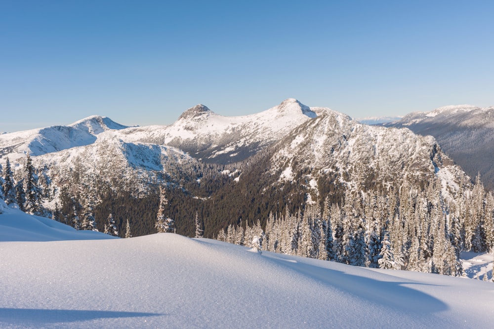 a view of a mountain range covered in snow