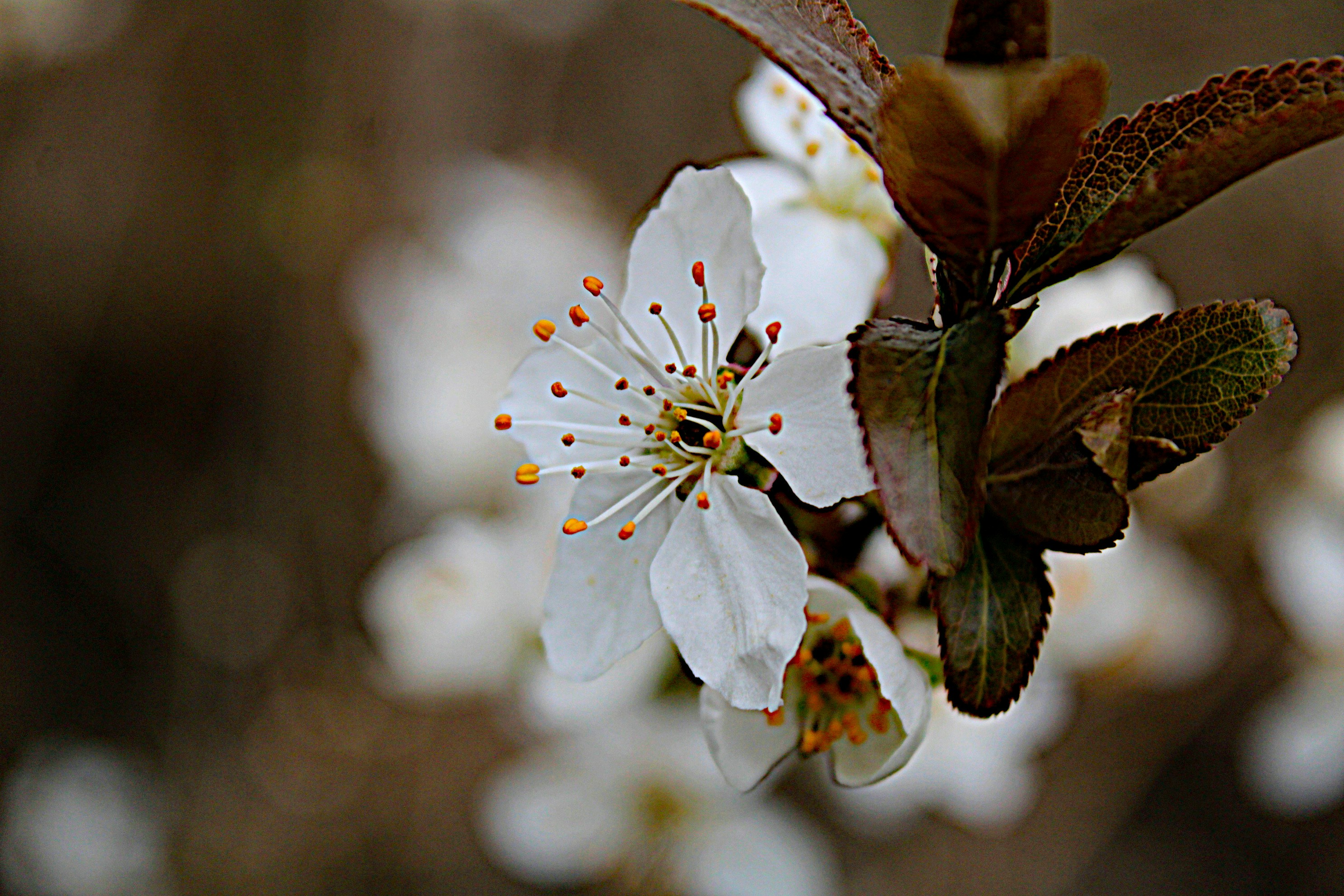 Photo by isaacstevenlind