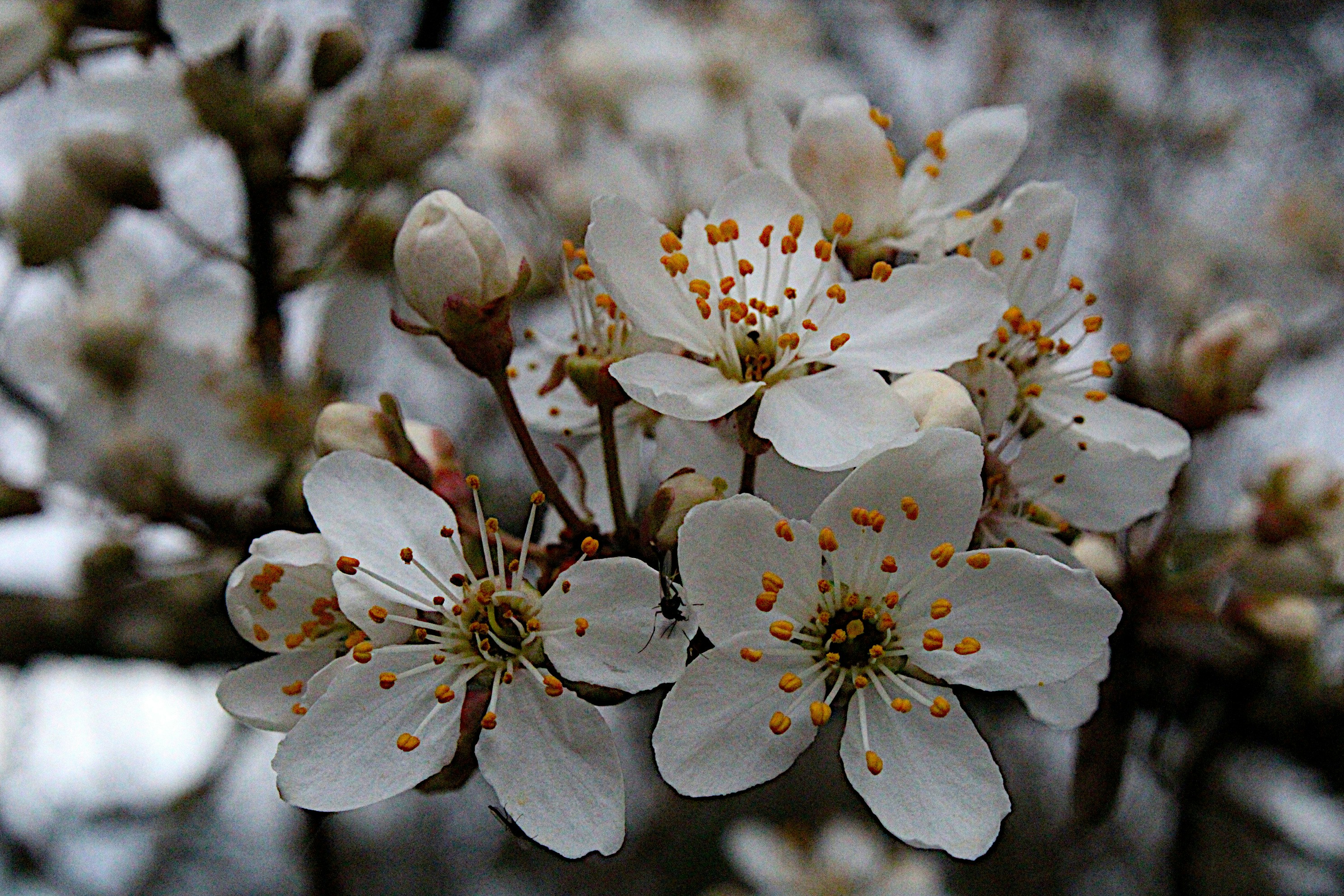 Photo by isaacstevenlind