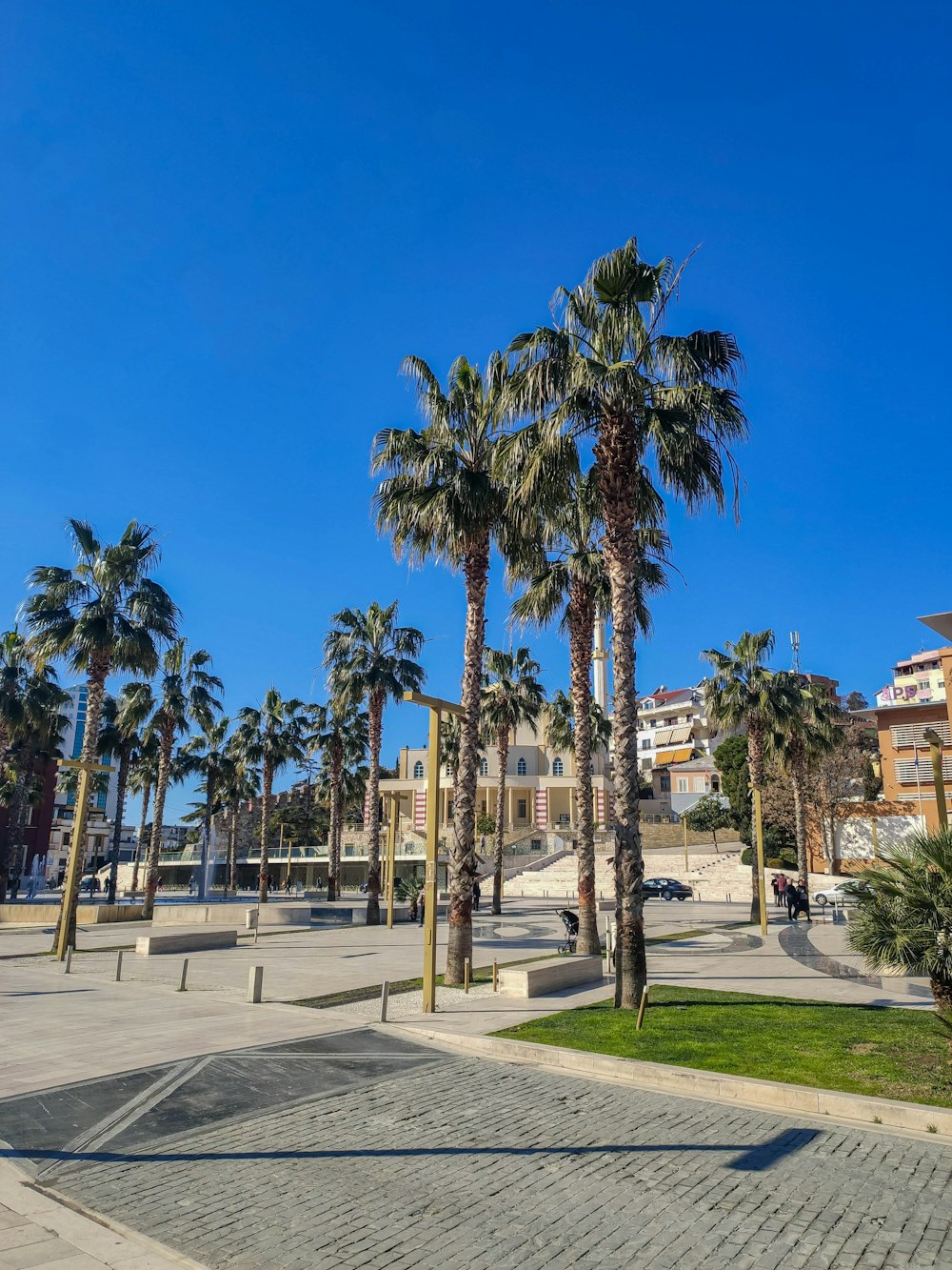 palm trees in a plaza with a building in the background