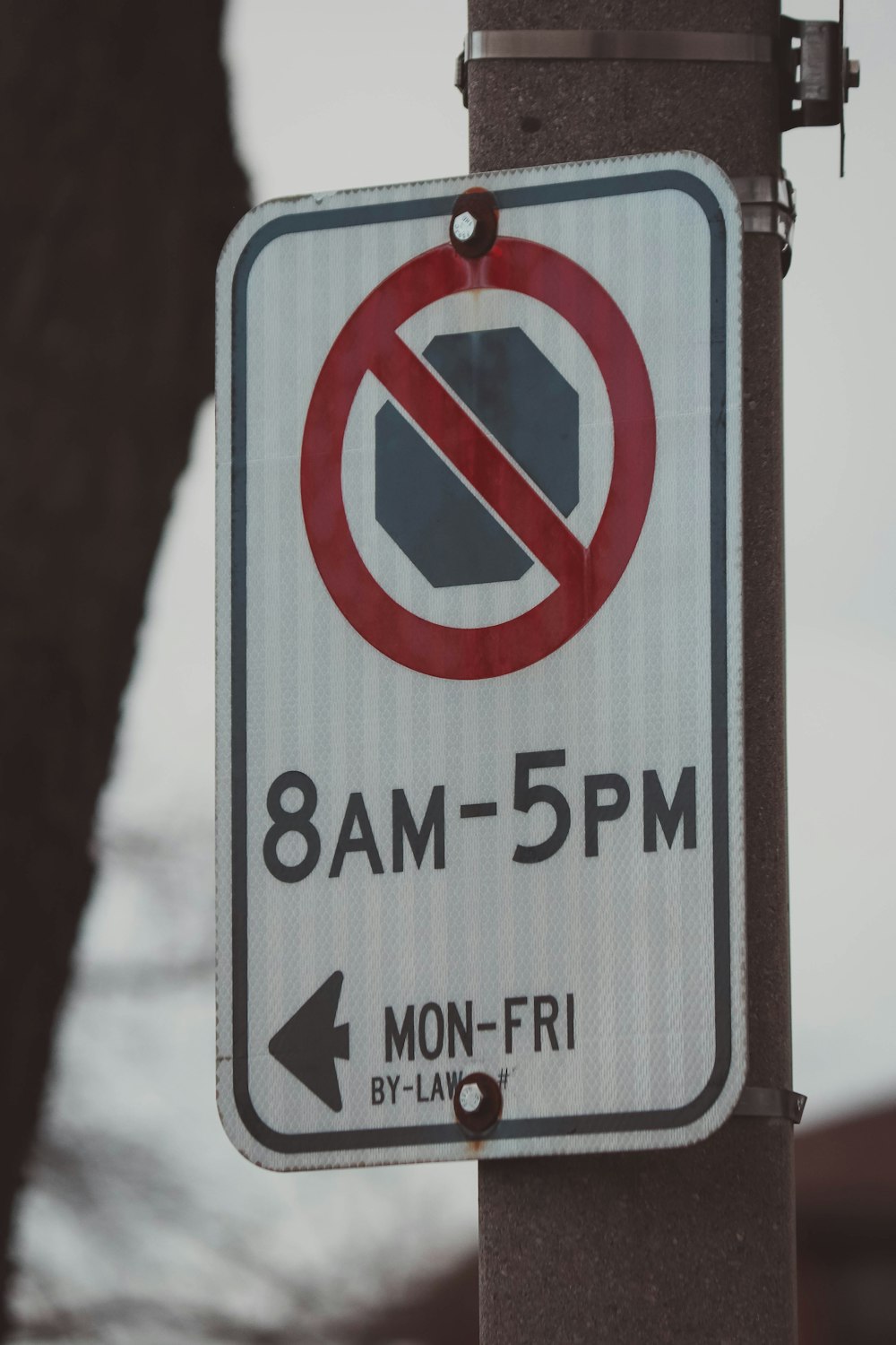 a no parking sign on a pole with a tree in the background