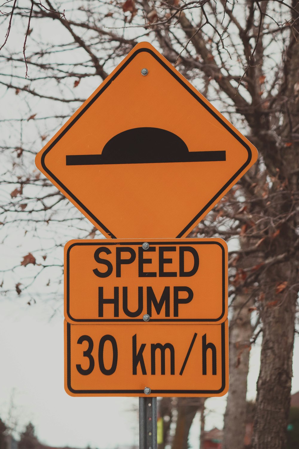 a yellow speed hump sign sitting next to a tree