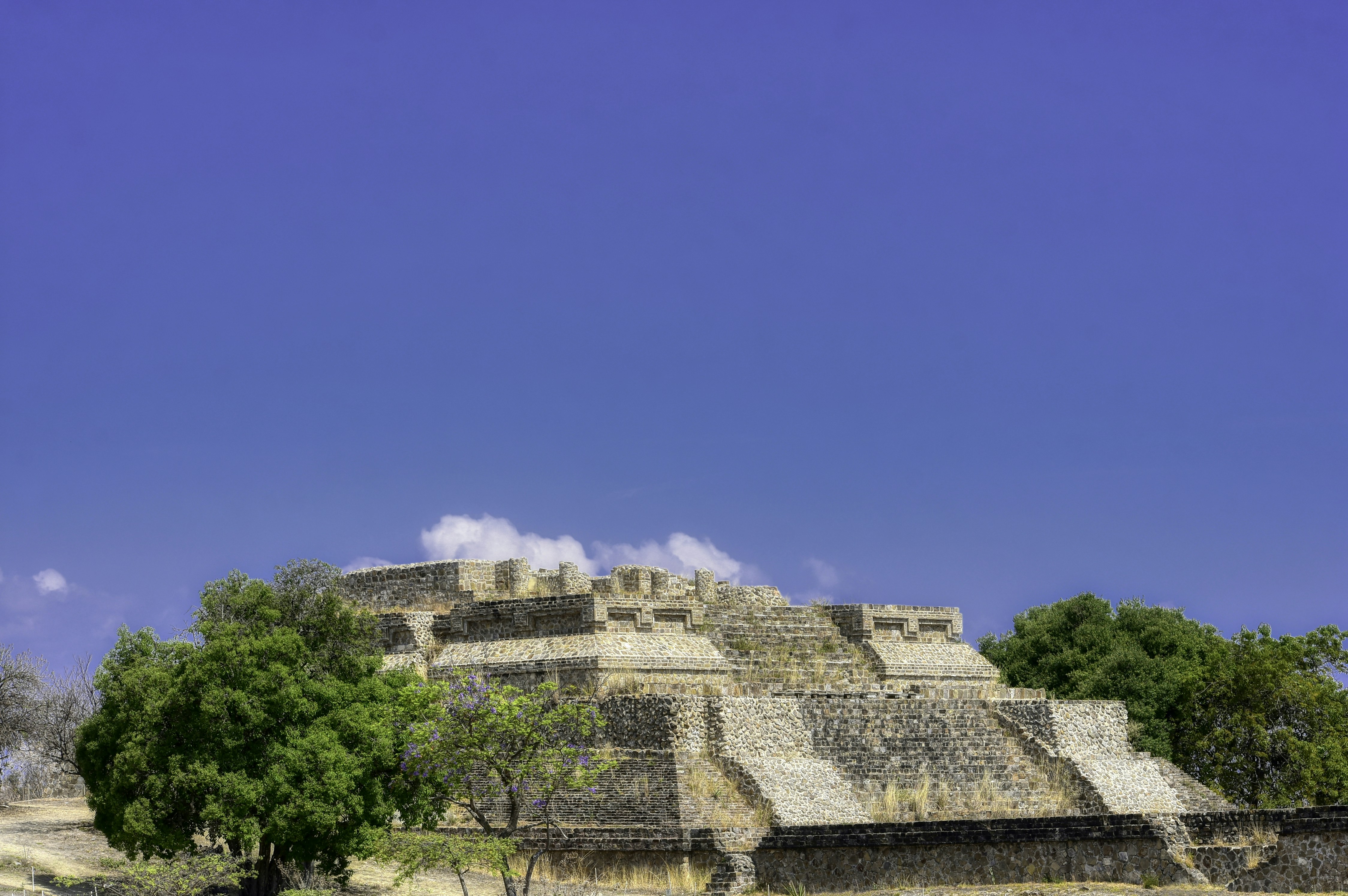 Architectural Innovations: Building for Eternity (image credits: unsplash)