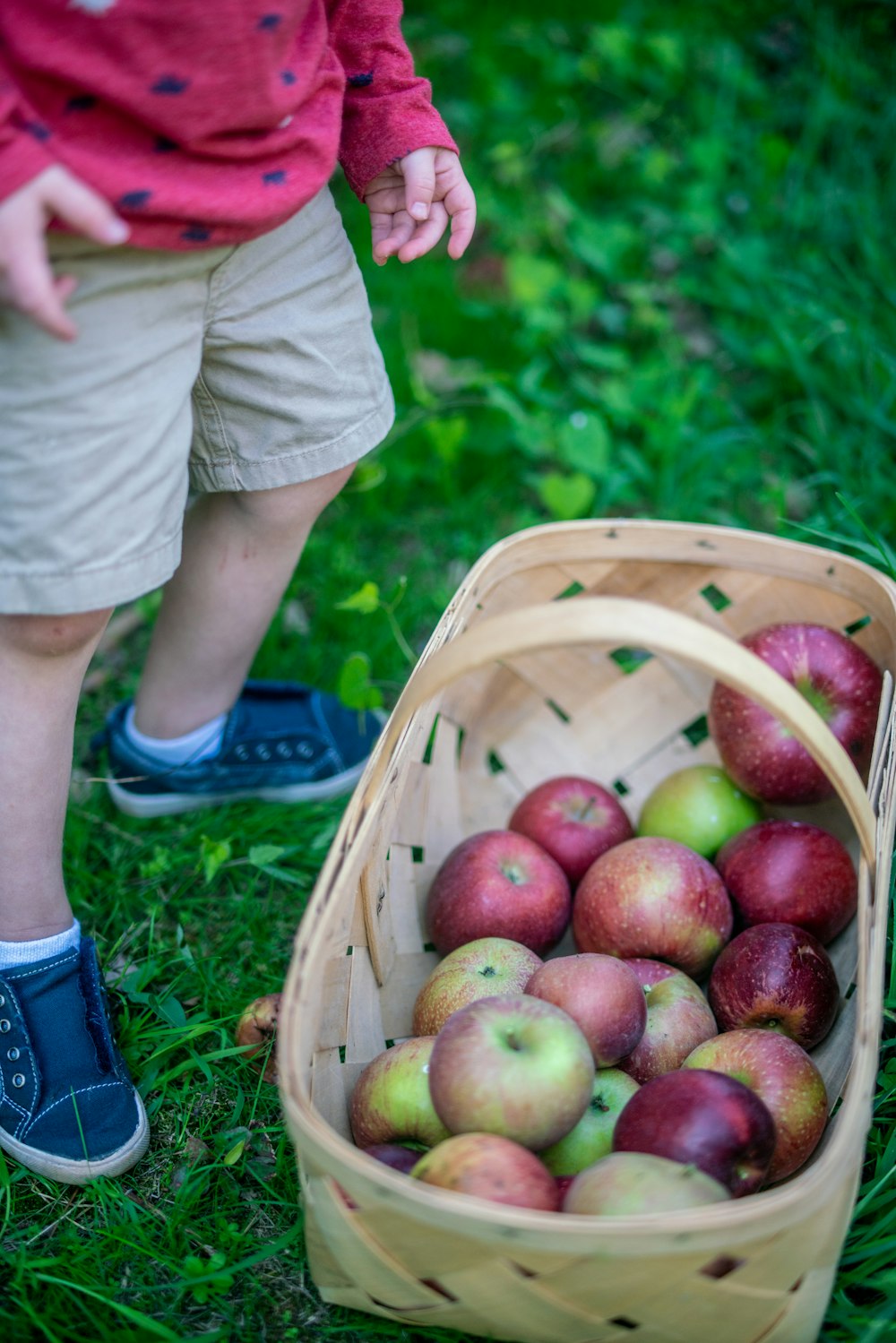 a child standing next to a basket of apples