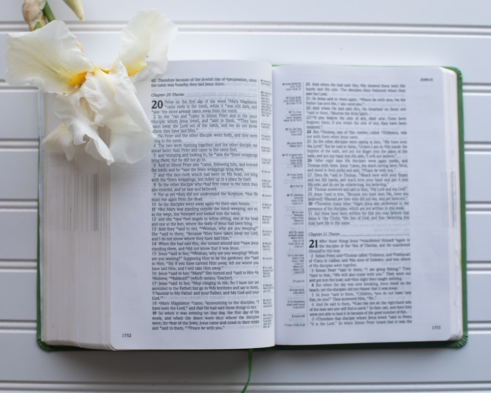 an open book with a flower on top of it