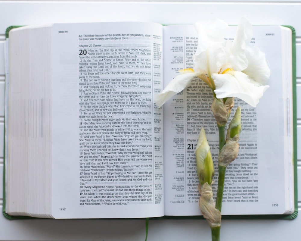 an open book with a flower on top of it