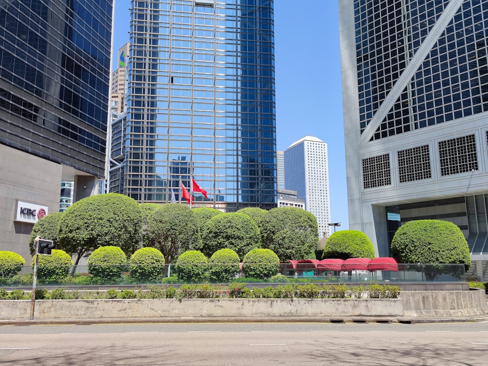 a city street with a lot of tall buildings