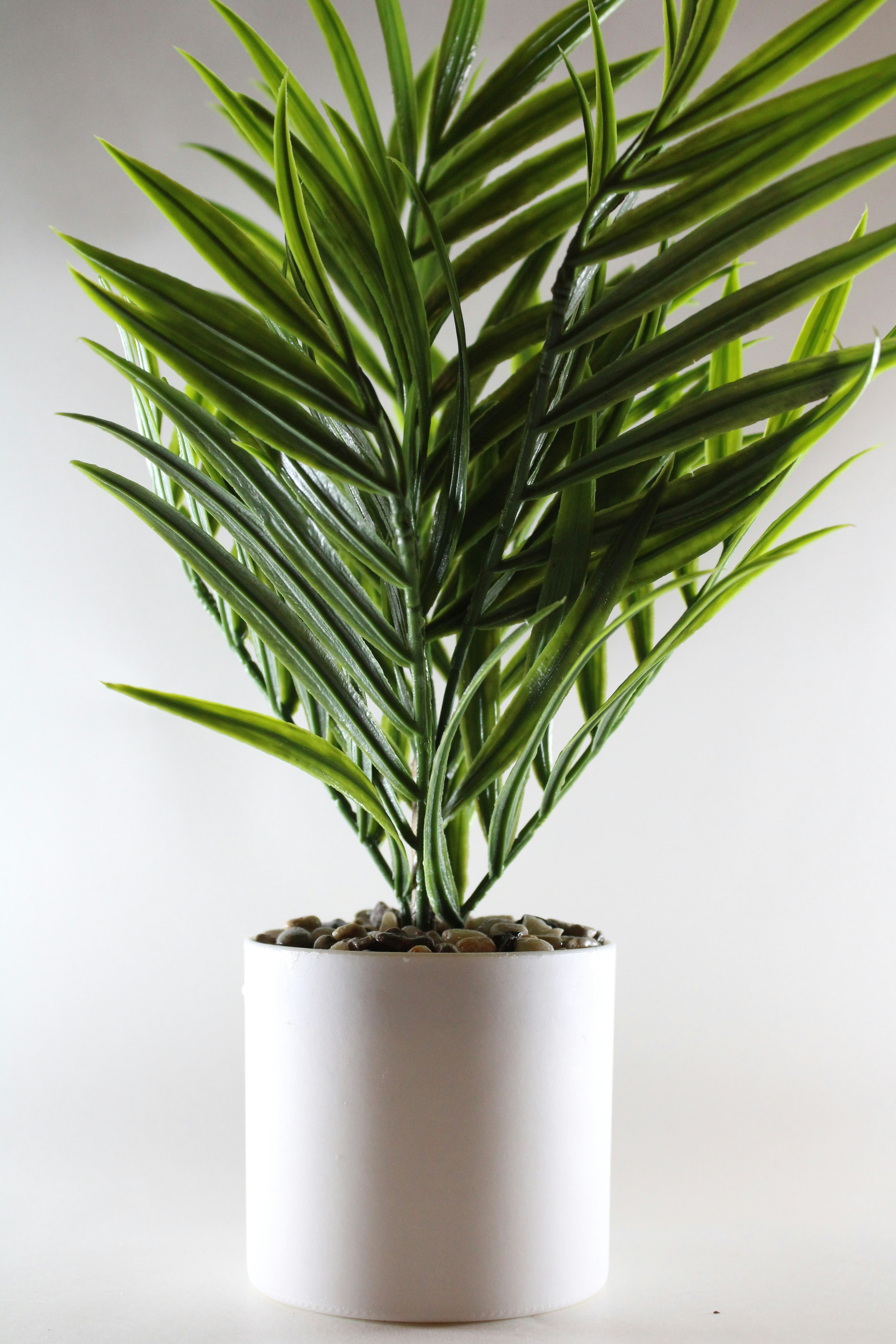 Photo by one23four56