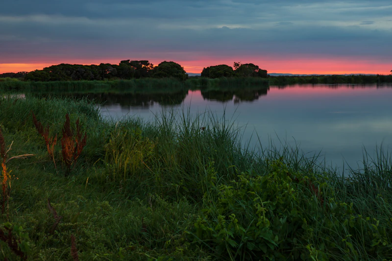 Safari 4×4 al amanecer en Doñana