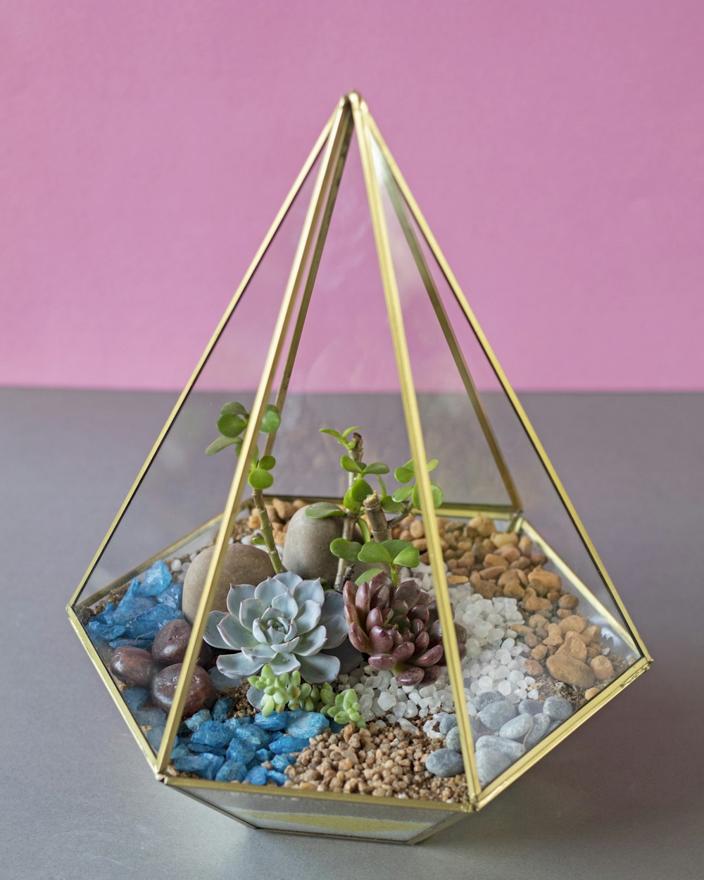 a glass terrarium filled with rocks and plants