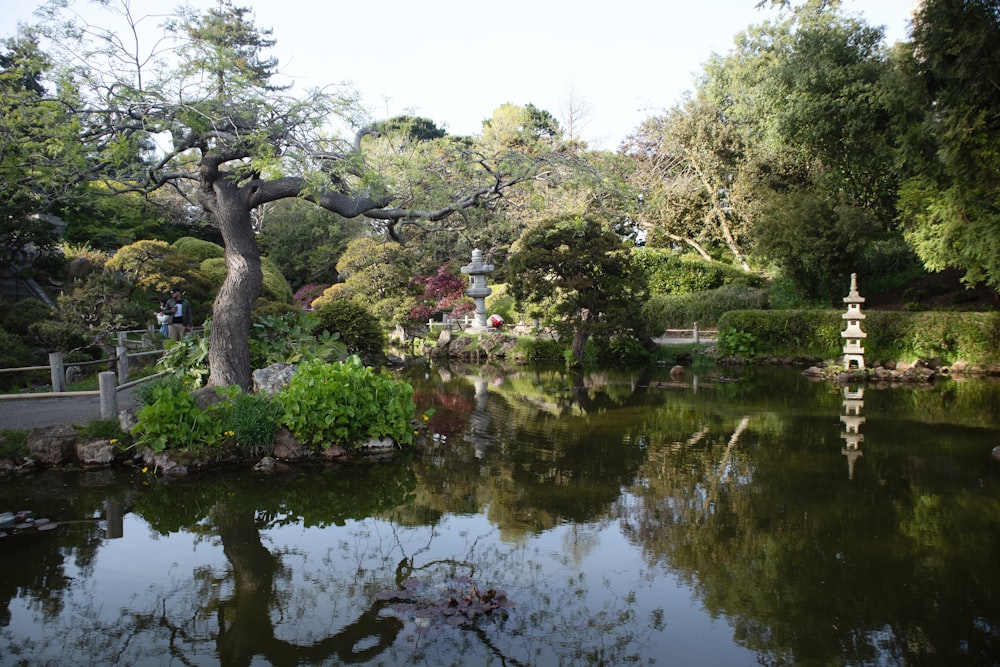 a pond surrounded by trees in a park