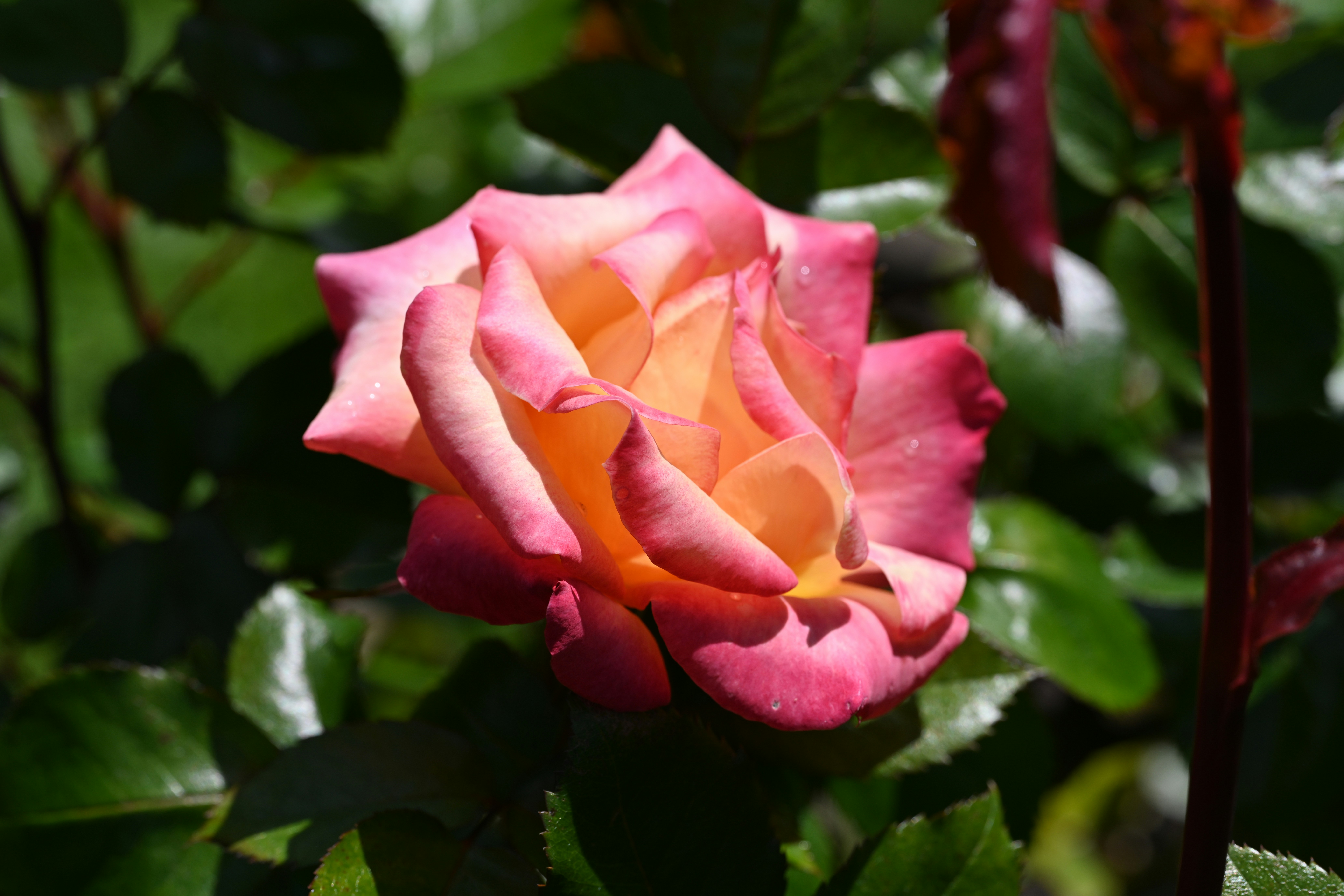 Photo by theunknownaldiaz