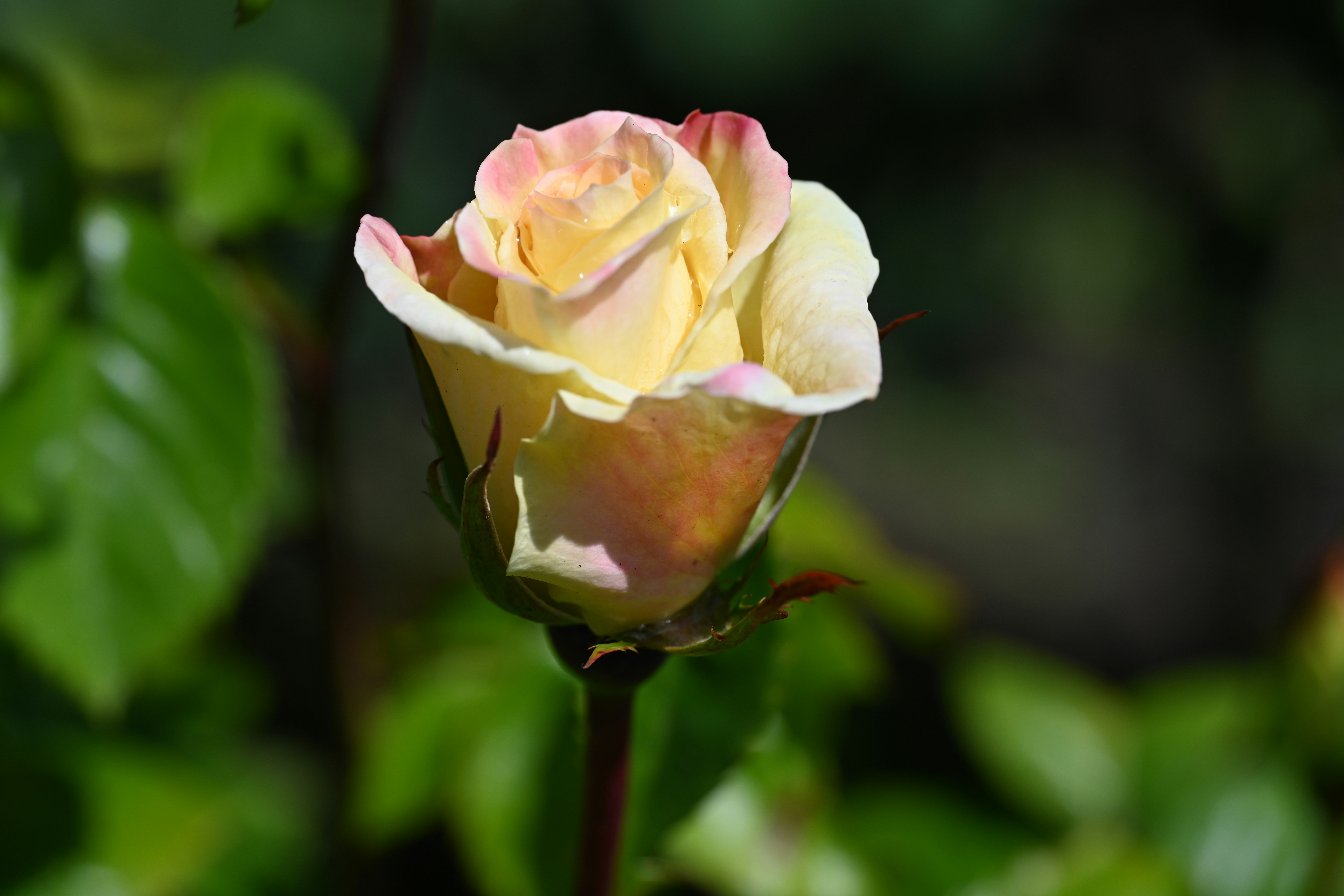 Photo by theunknownaldiaz