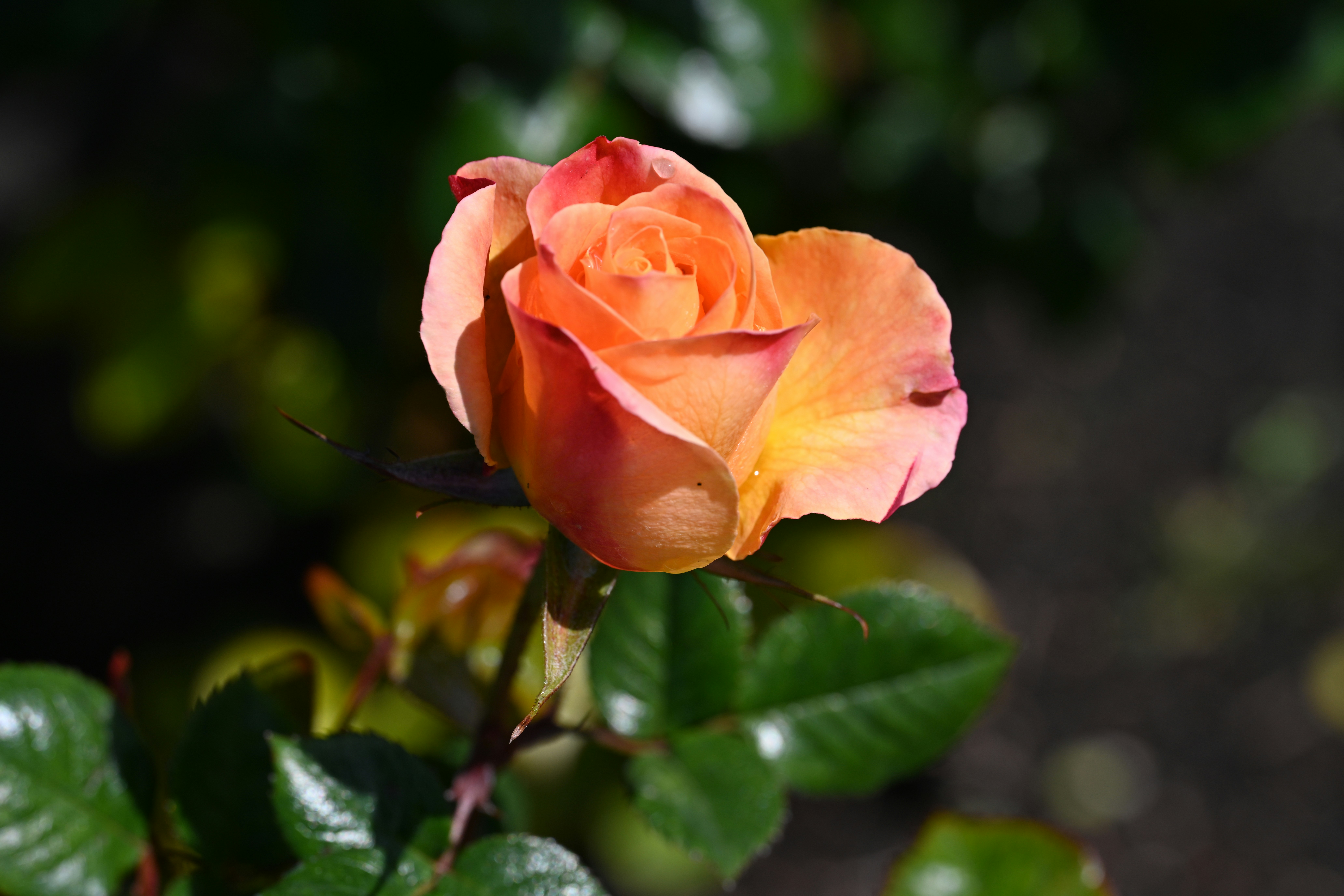 Photo by theunknownaldiaz