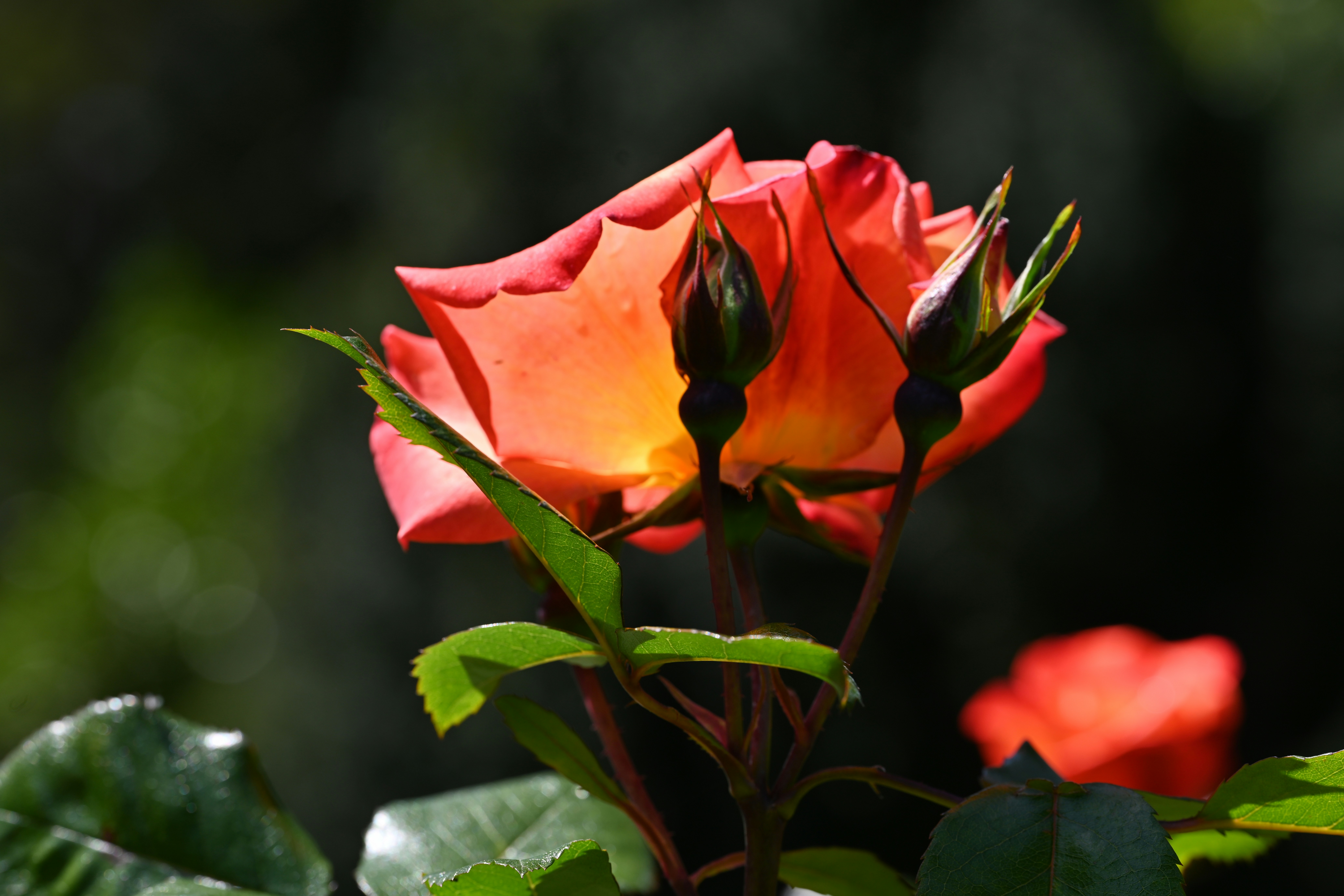 Photo by theunknownaldiaz