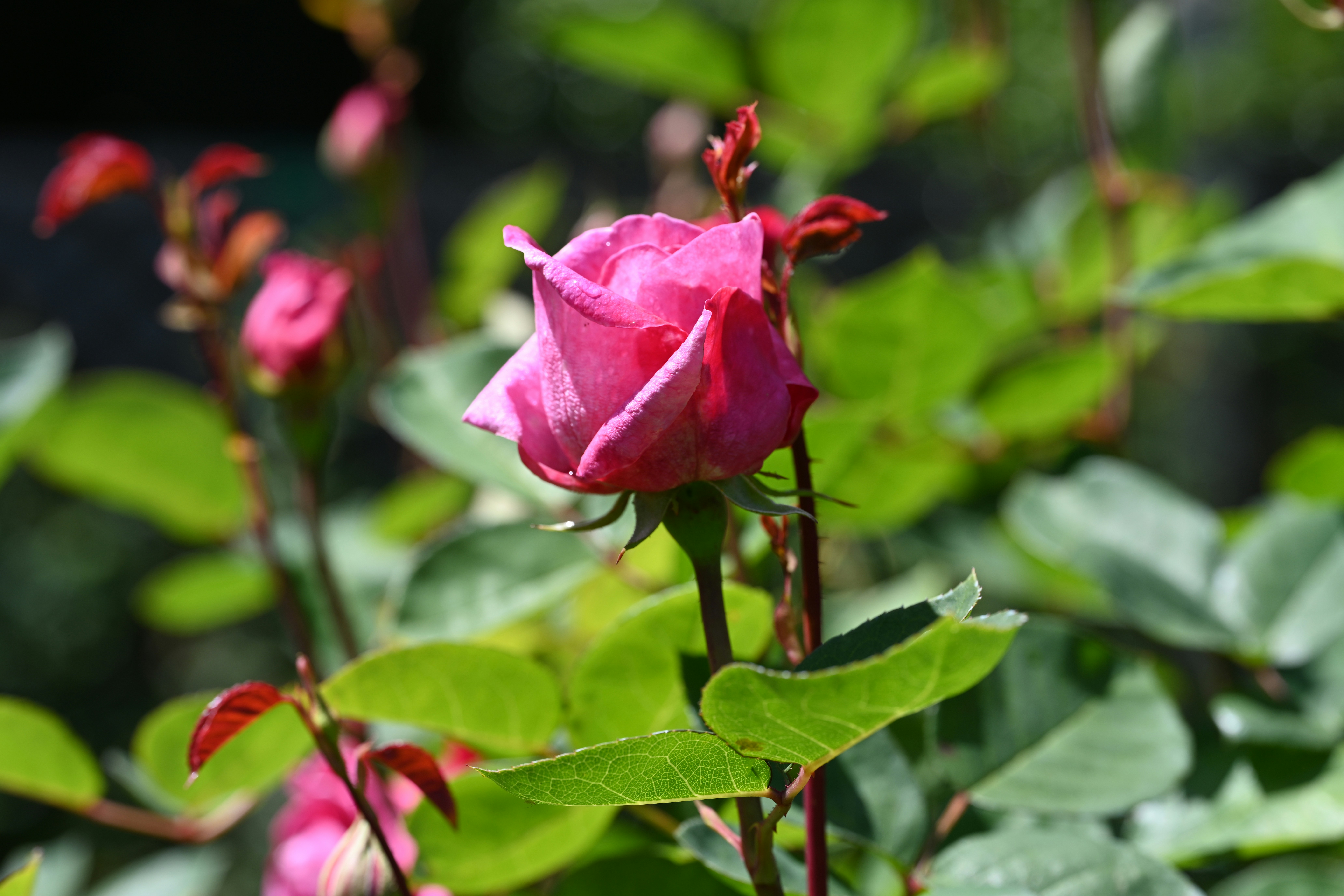 Photo by theunknownaldiaz