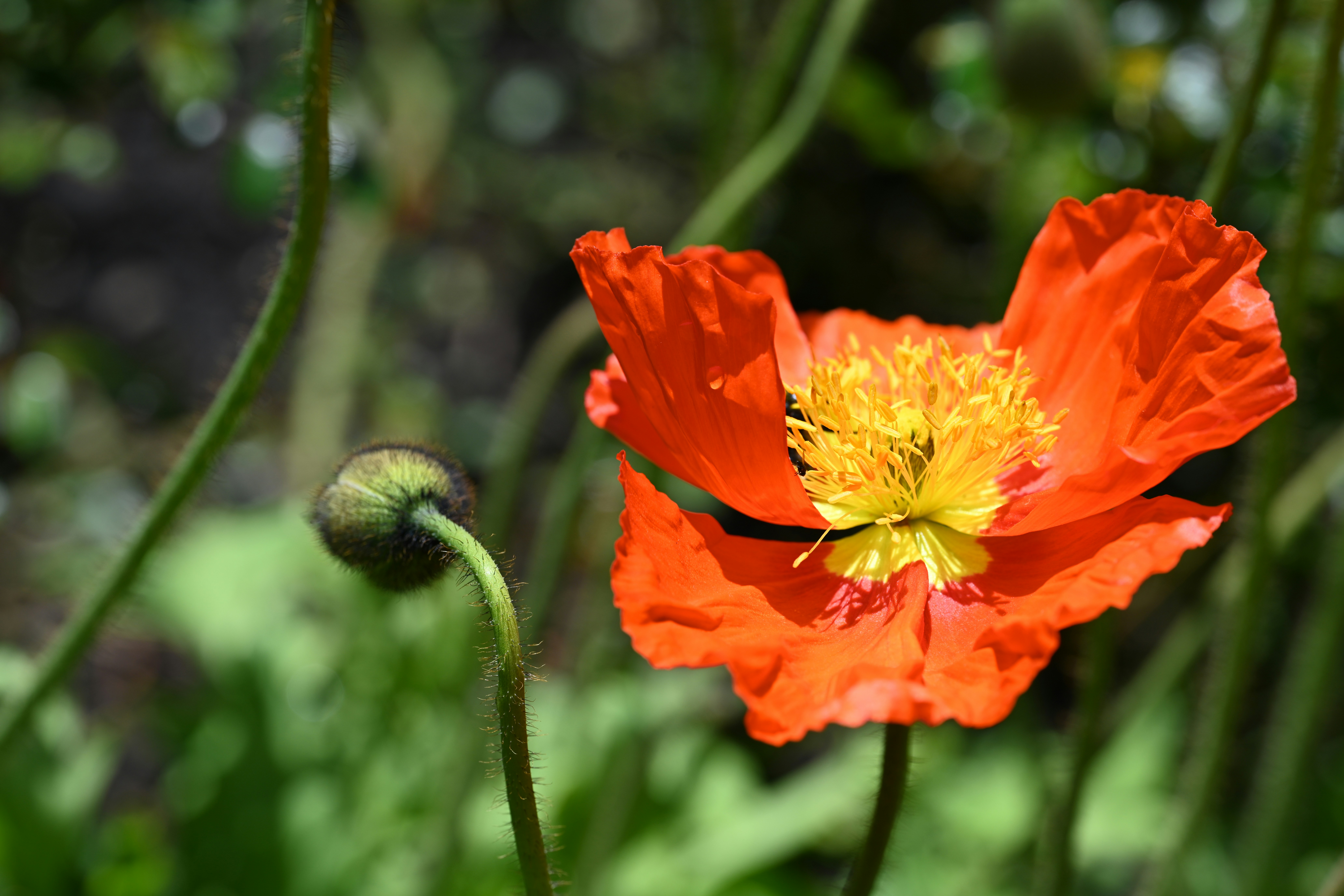 Photo by theunknownaldiaz