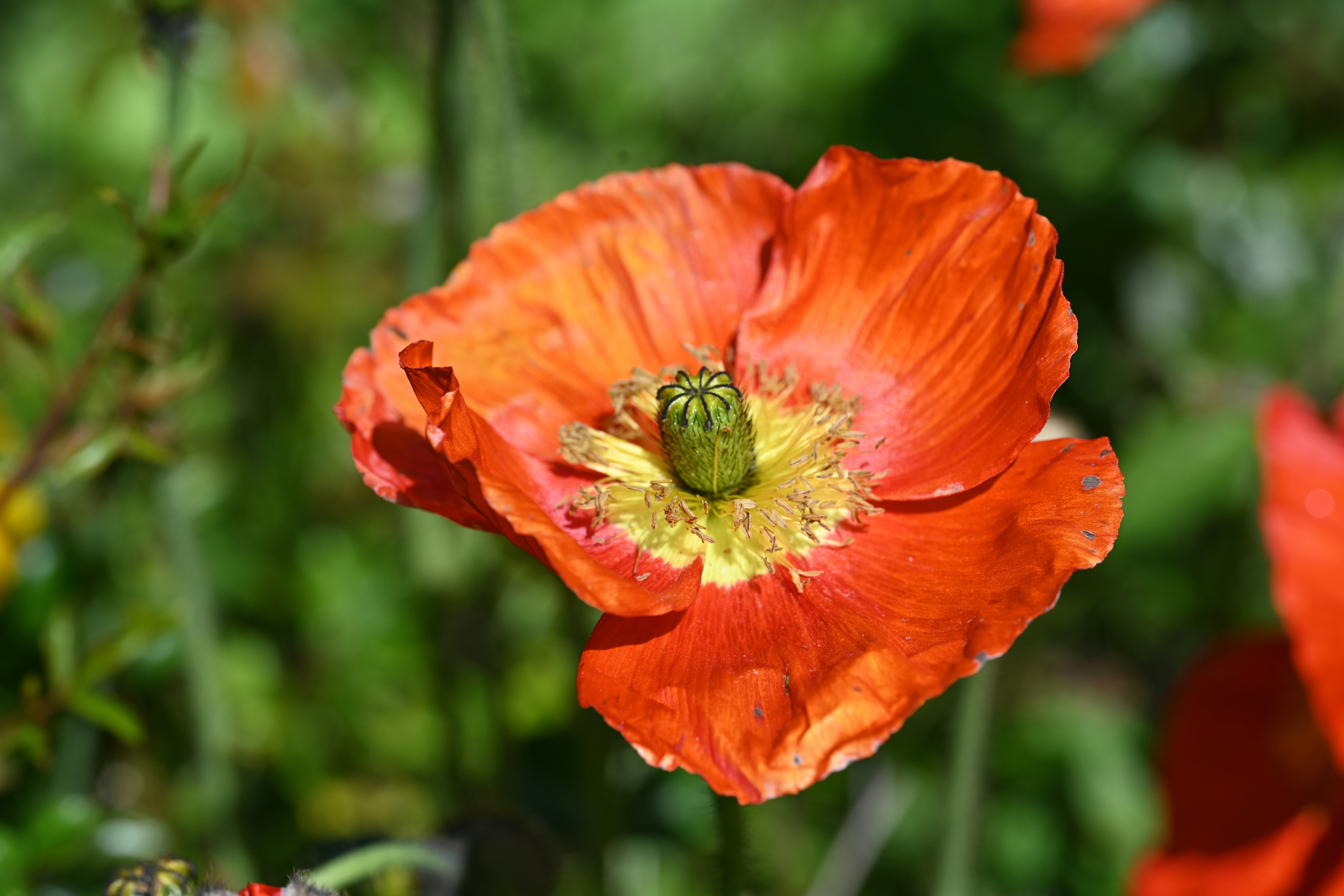 Photo by theunknownaldiaz