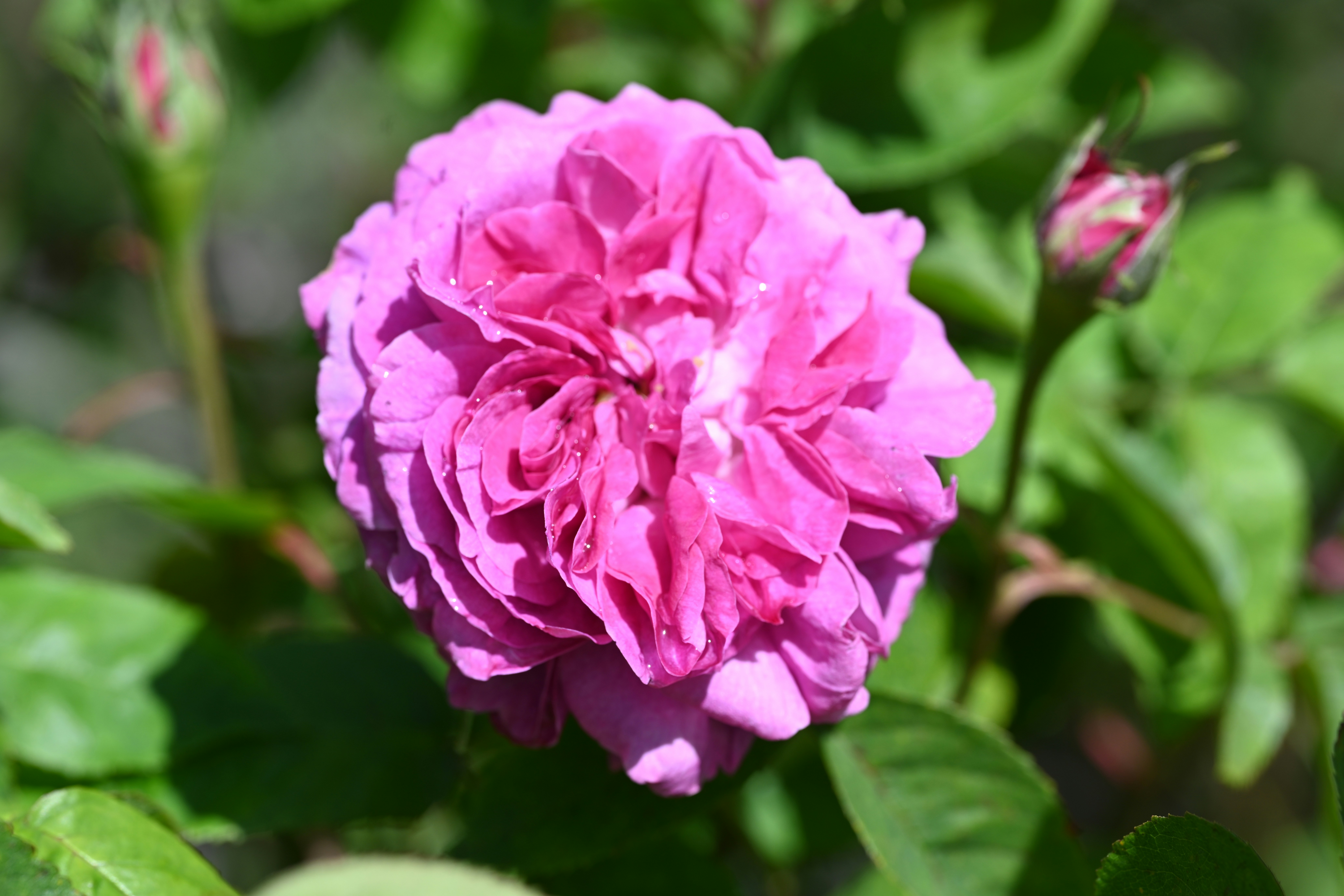 Photo by theunknownaldiaz