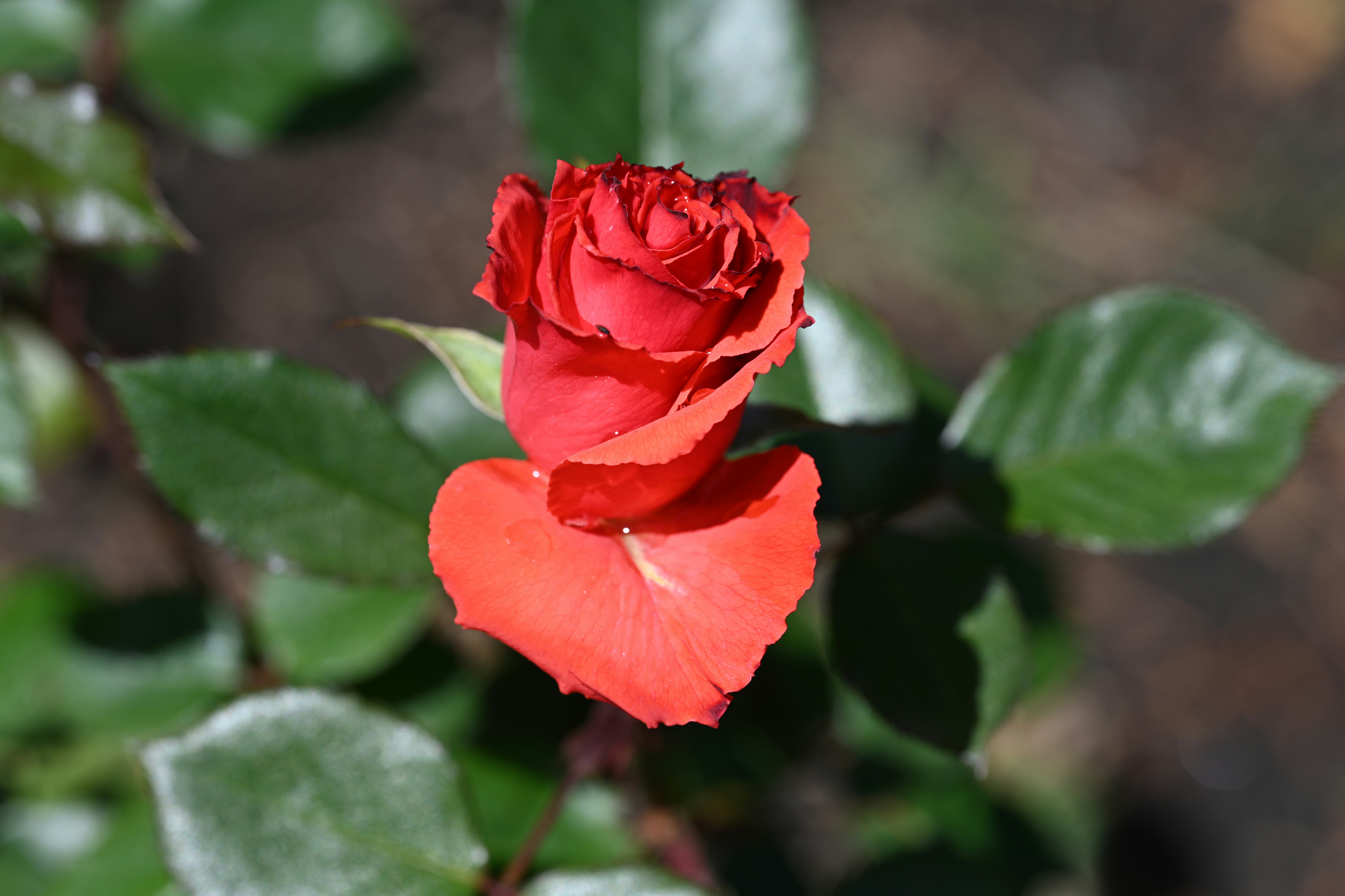 Photo by theunknownaldiaz