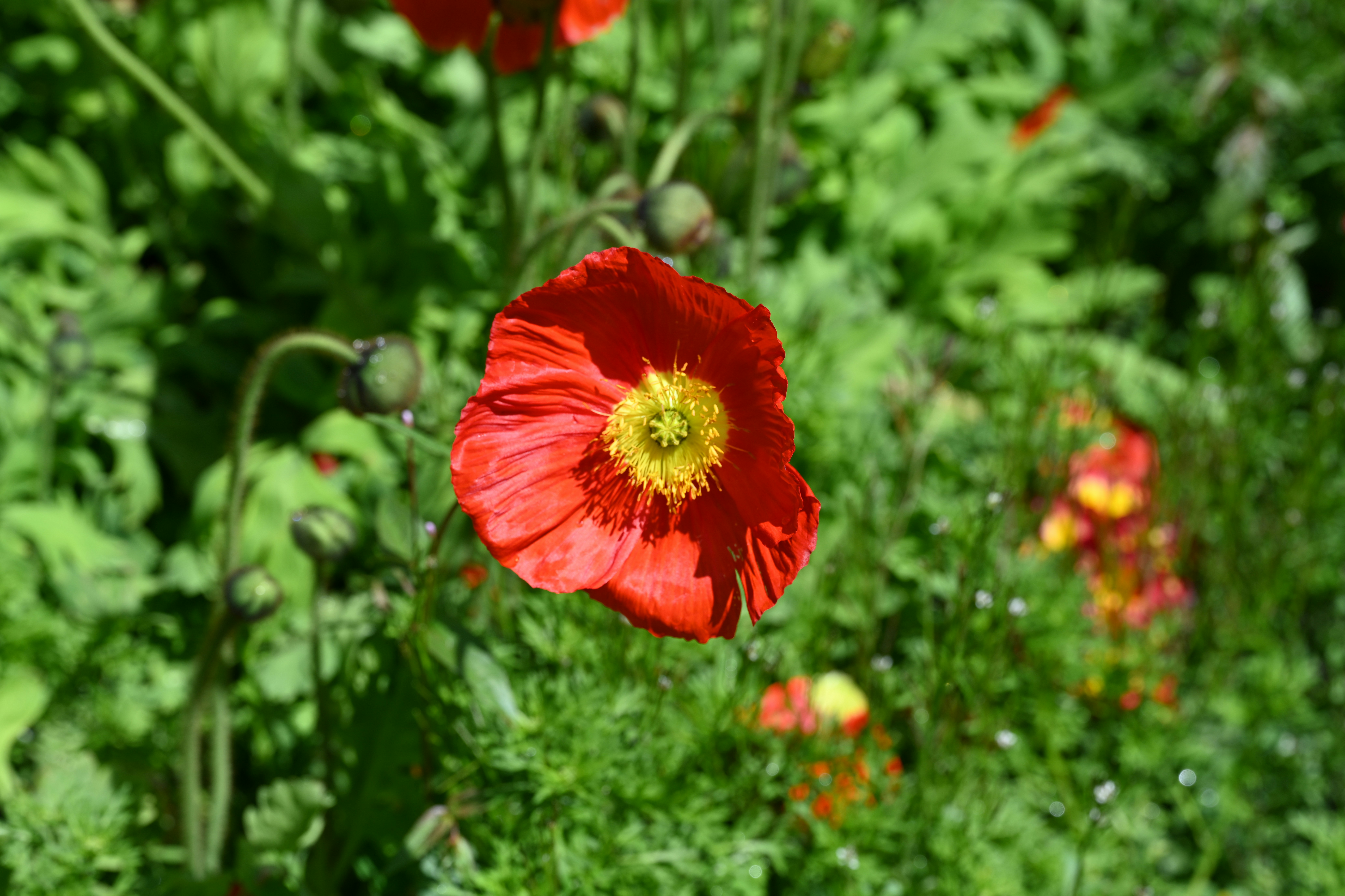 Photo by theunknownaldiaz