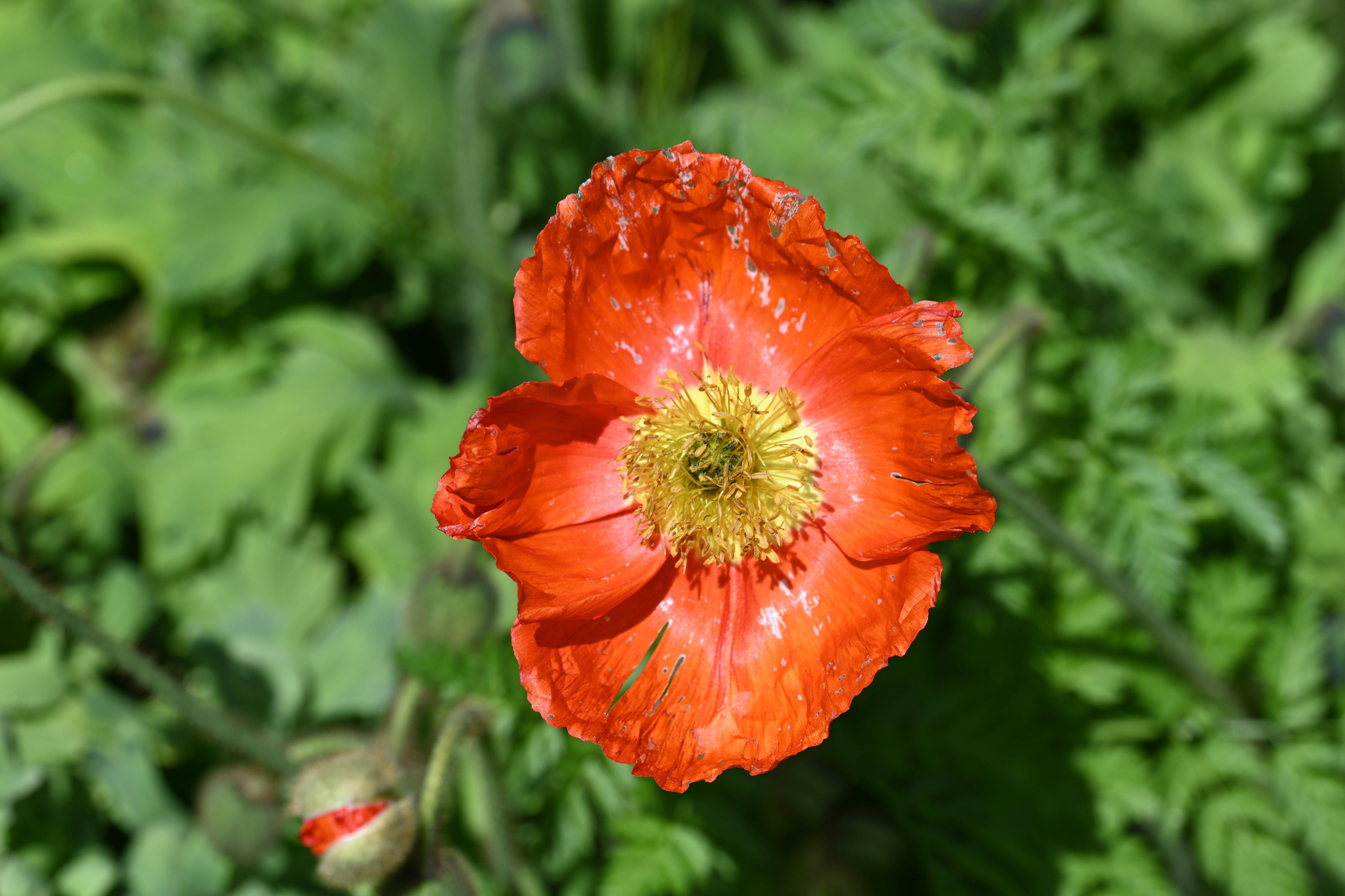 Photo by theunknownaldiaz